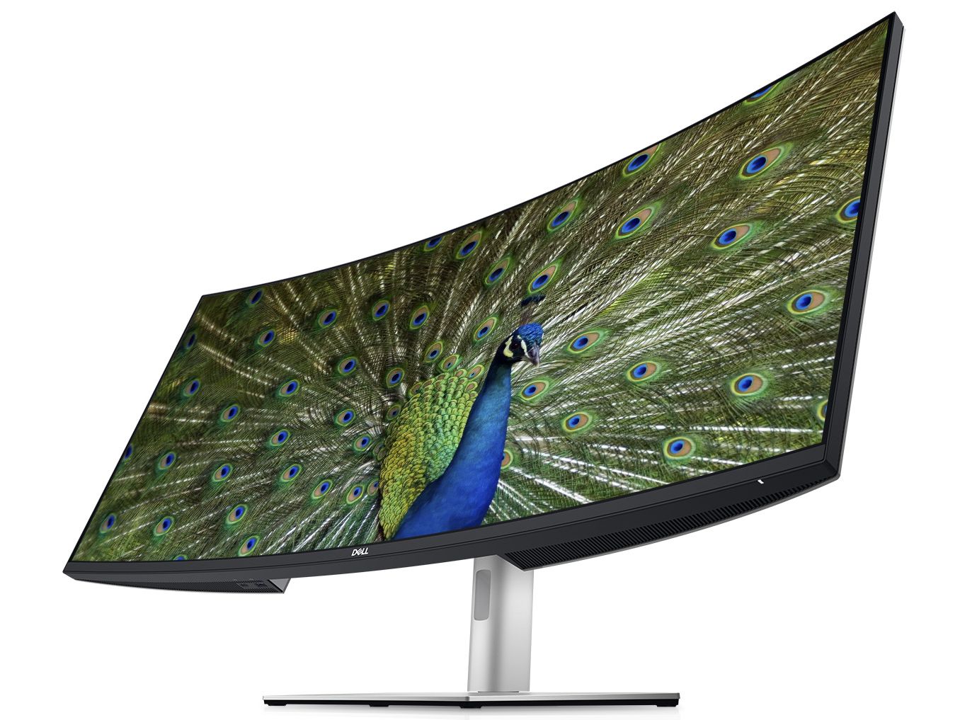 Dell announces a host of new monitors, headlined by an absolute