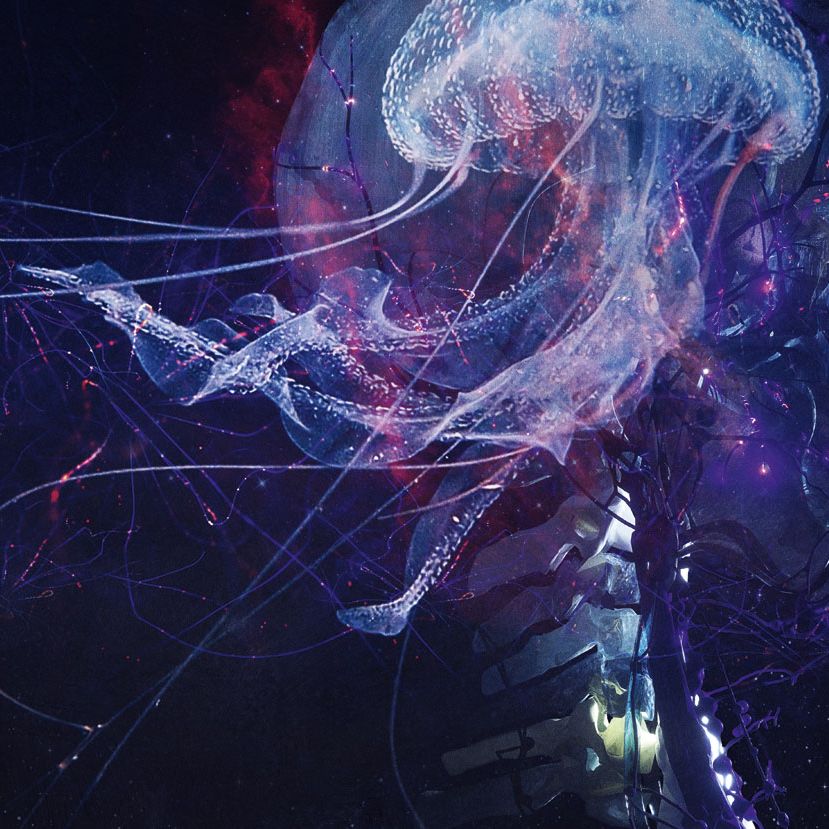 Avant-black metal pioneers Blut Aus Nord embark on a thrilling new