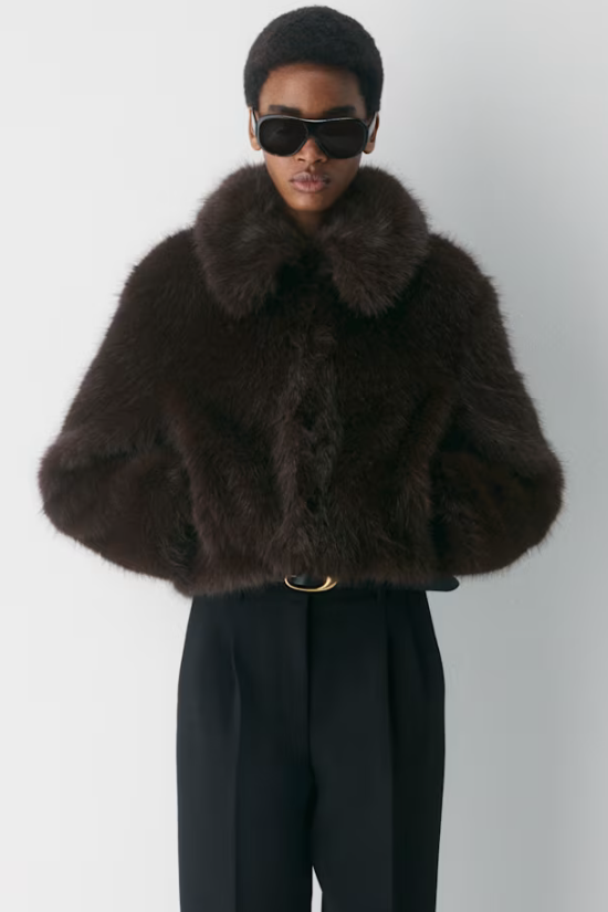 Aritzia, Chamonix Coat