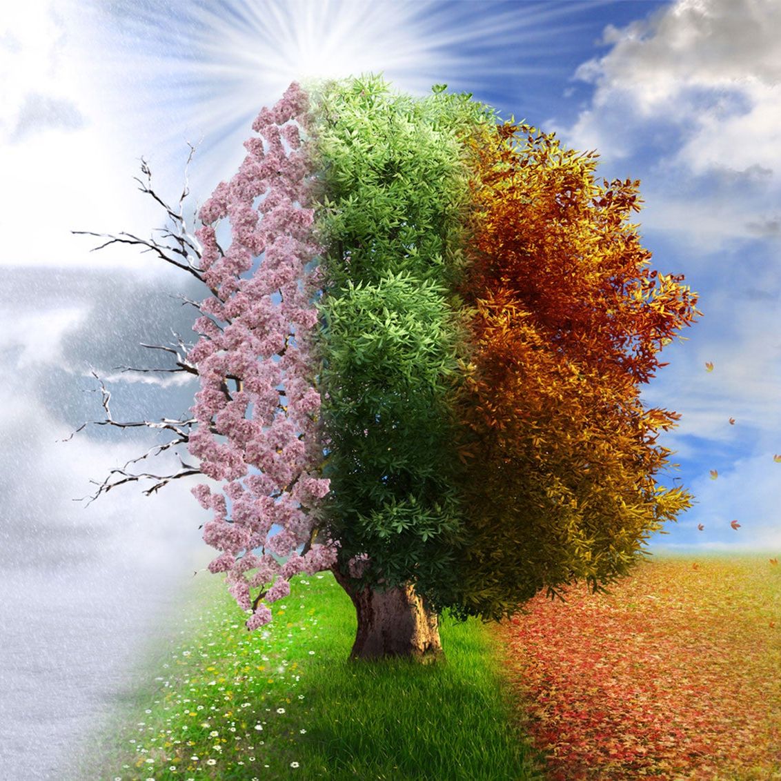 How do you know when seasons change?