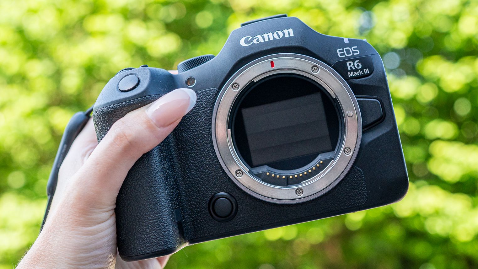 Canon EOS R6 III review: A wildlife wonder | Live Science