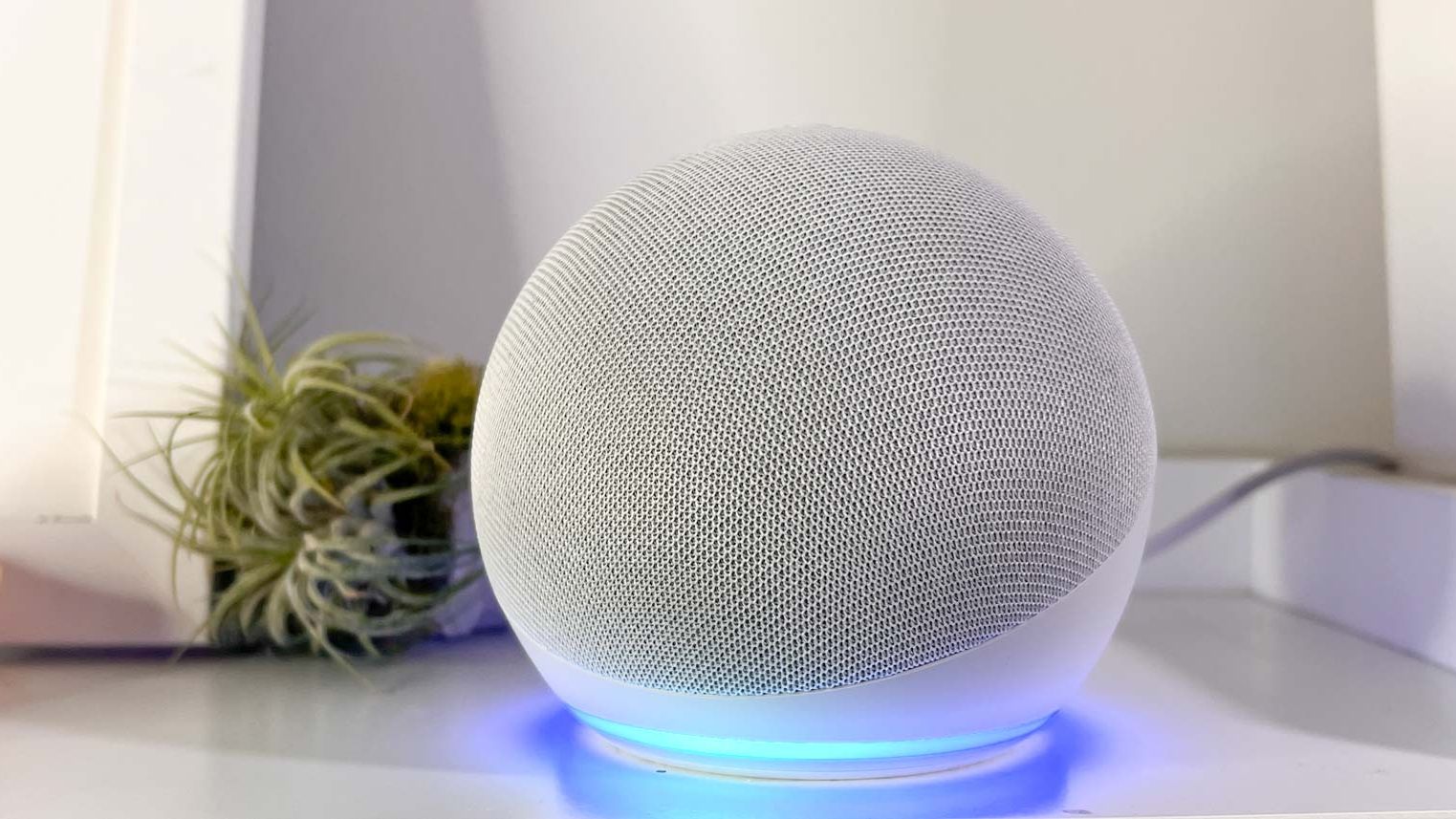 iKG7uKA7HNi7jZhWLGMZWX.jpg