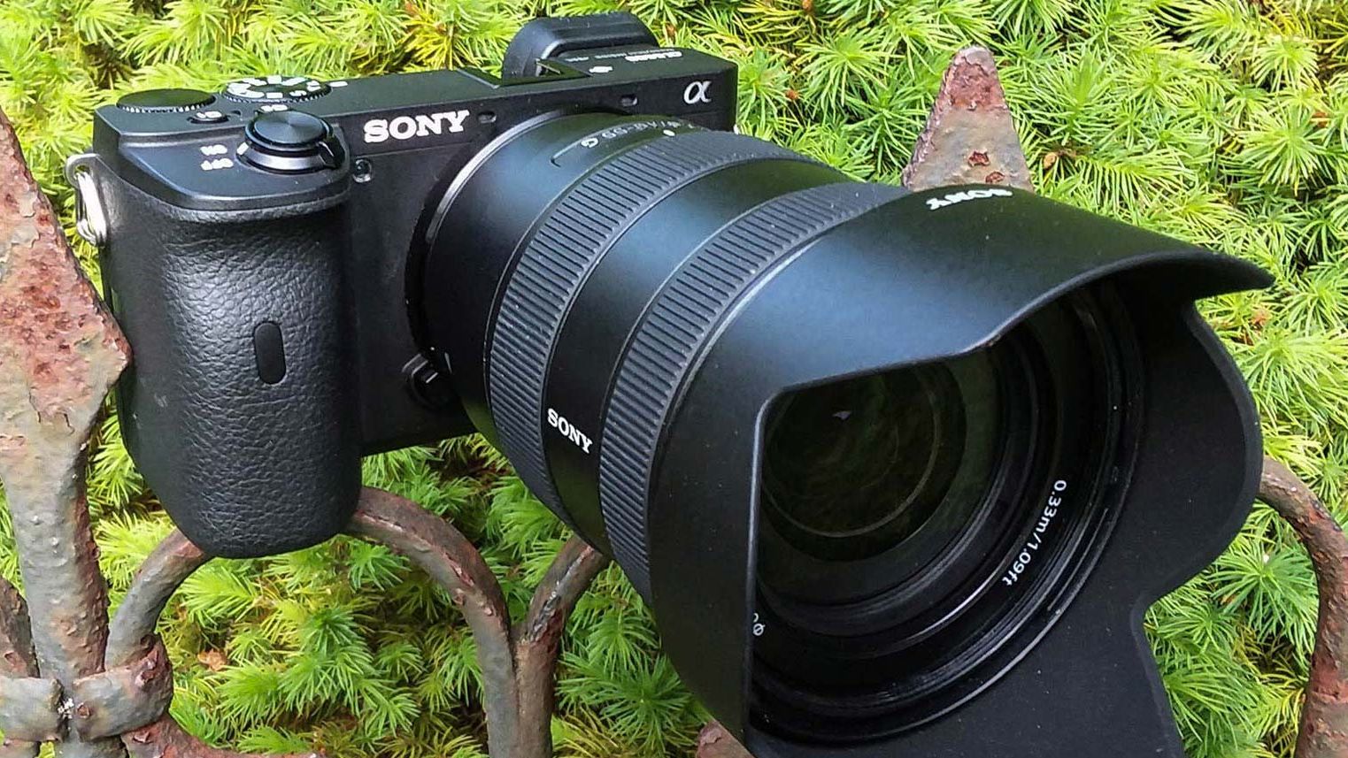 Sony Alpha a6600 review | Tom's Guide