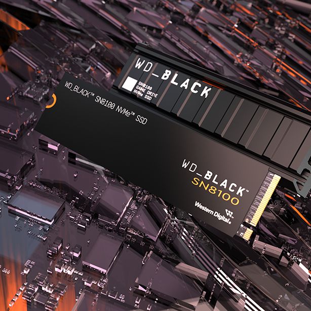 Sandisk's new WD Black SN8100 claims to be the world's fastest