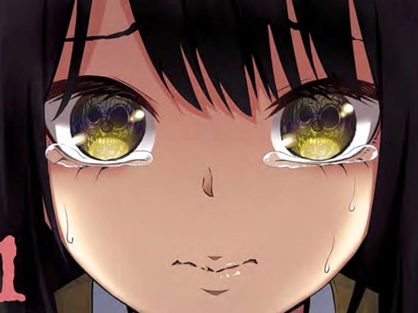 i9bet - Unveiling the Global Phenomenon That Continues to Enchant Millions