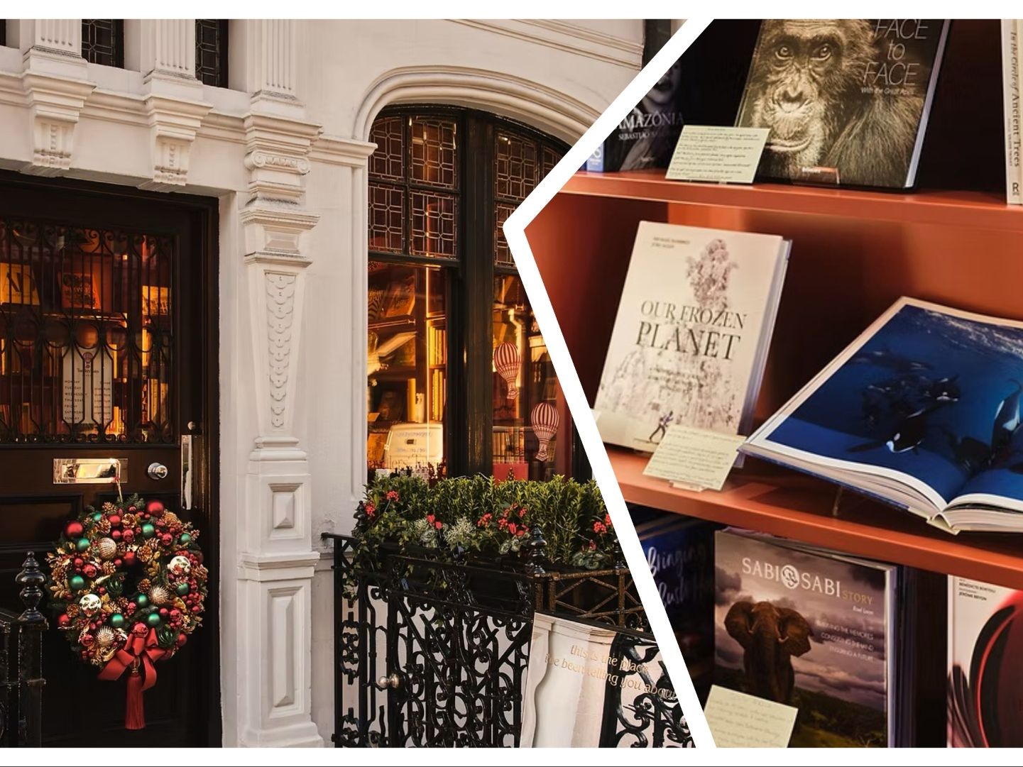 Around the world in 80 books: Beautiful travel-focussed bookshop