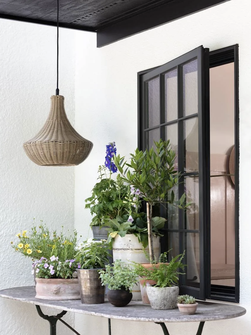 pendant ligh over container garden