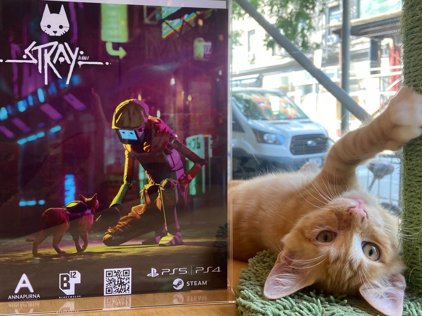 I played Stray in a cat cafe and it was purrfect | GamesRadar+