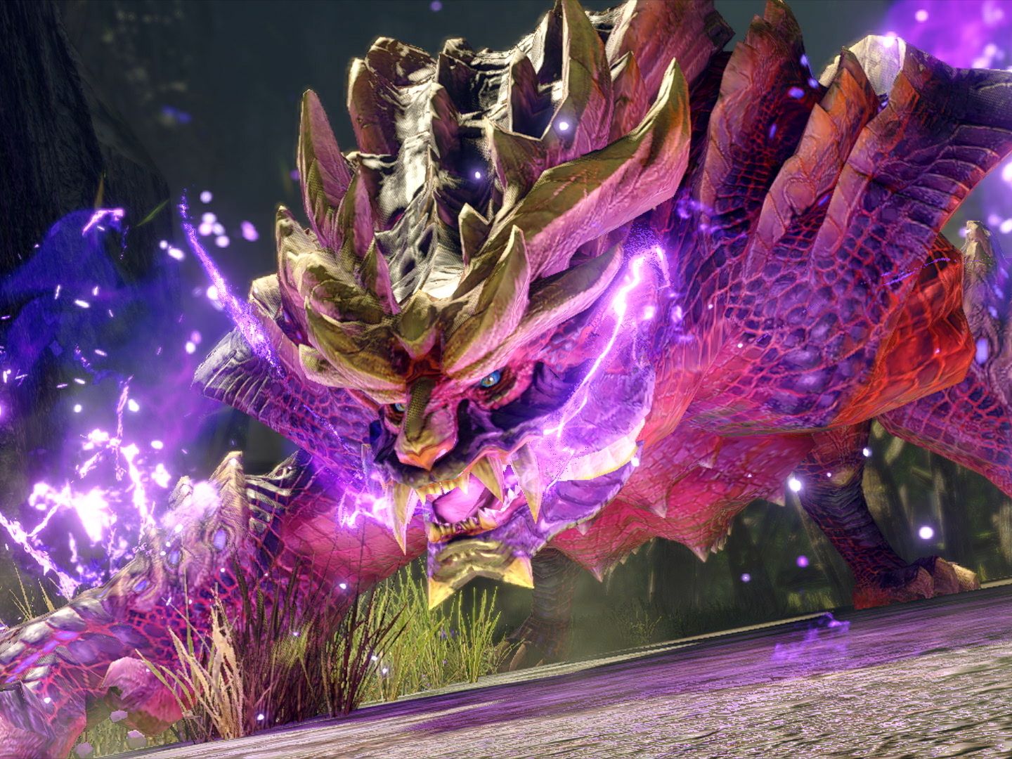 MONSTER HUNTER RISE スペシャルエディション Monster Hunter Rise special edition Switch and Pro controller are