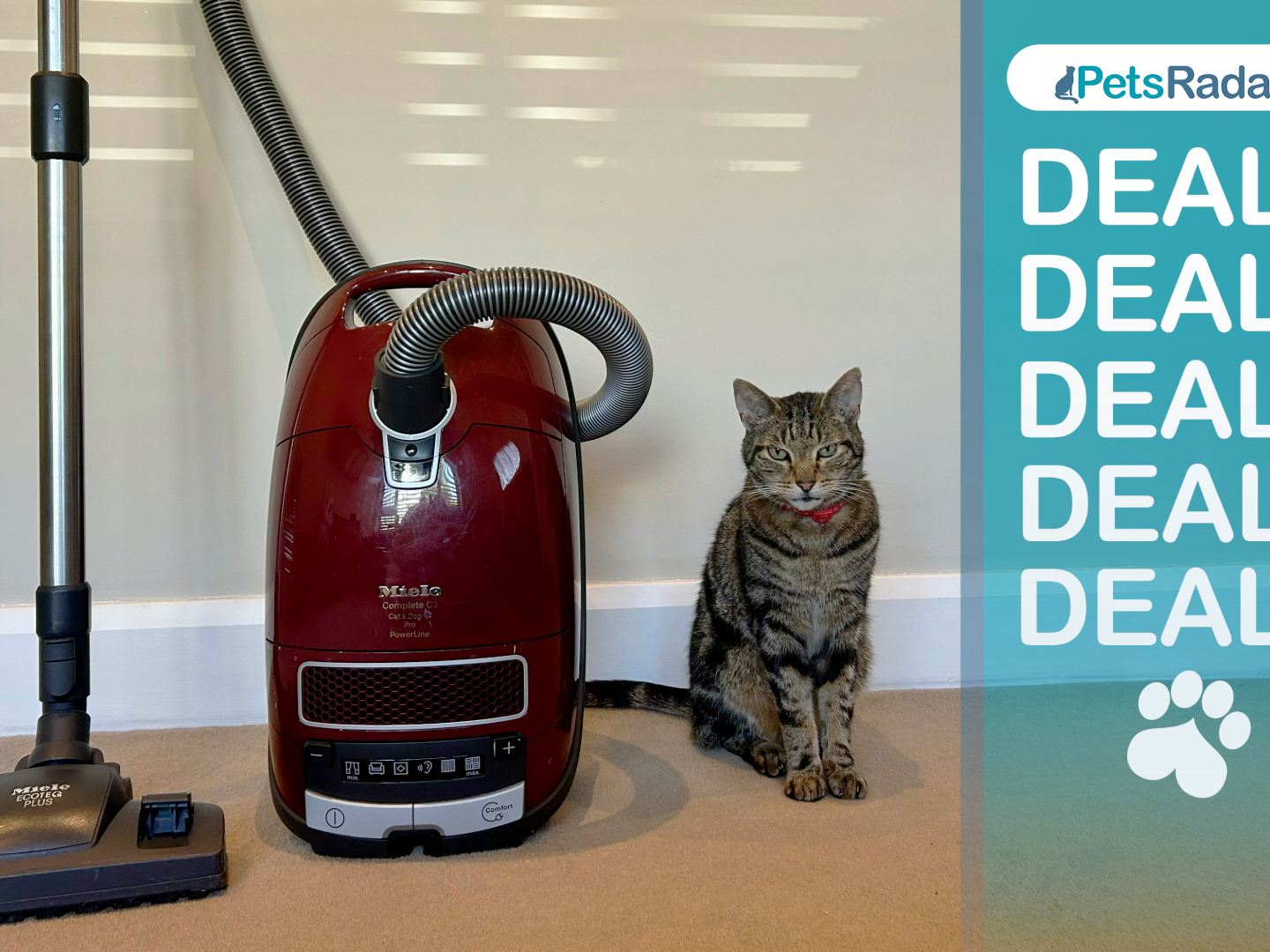 Miele Complete C3 Cat and Dog PowerLine Amazon Pet Day deal