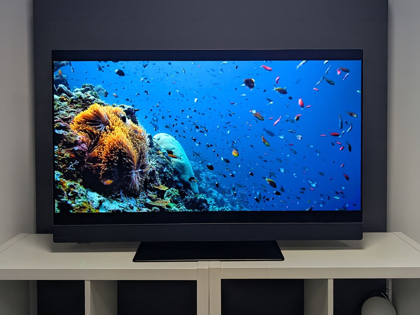邦楽 Panasonic TV TV-48Z90BEB_2-HIGH_RES.jpg