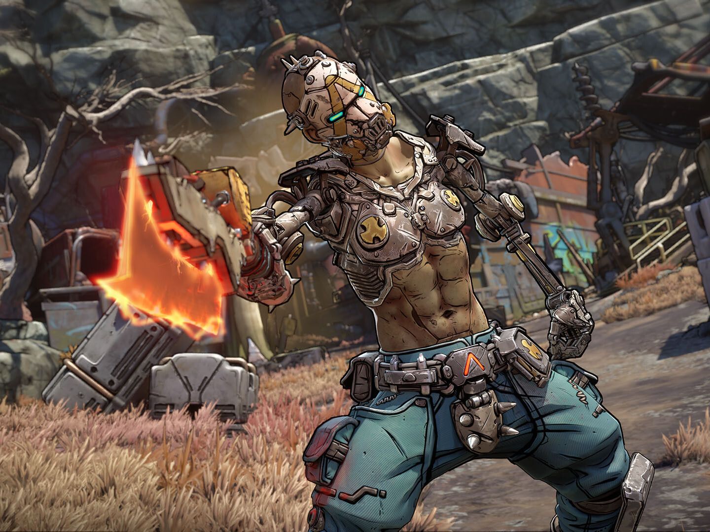 Gearbox says the Borderlands 4 collector's edition isn't