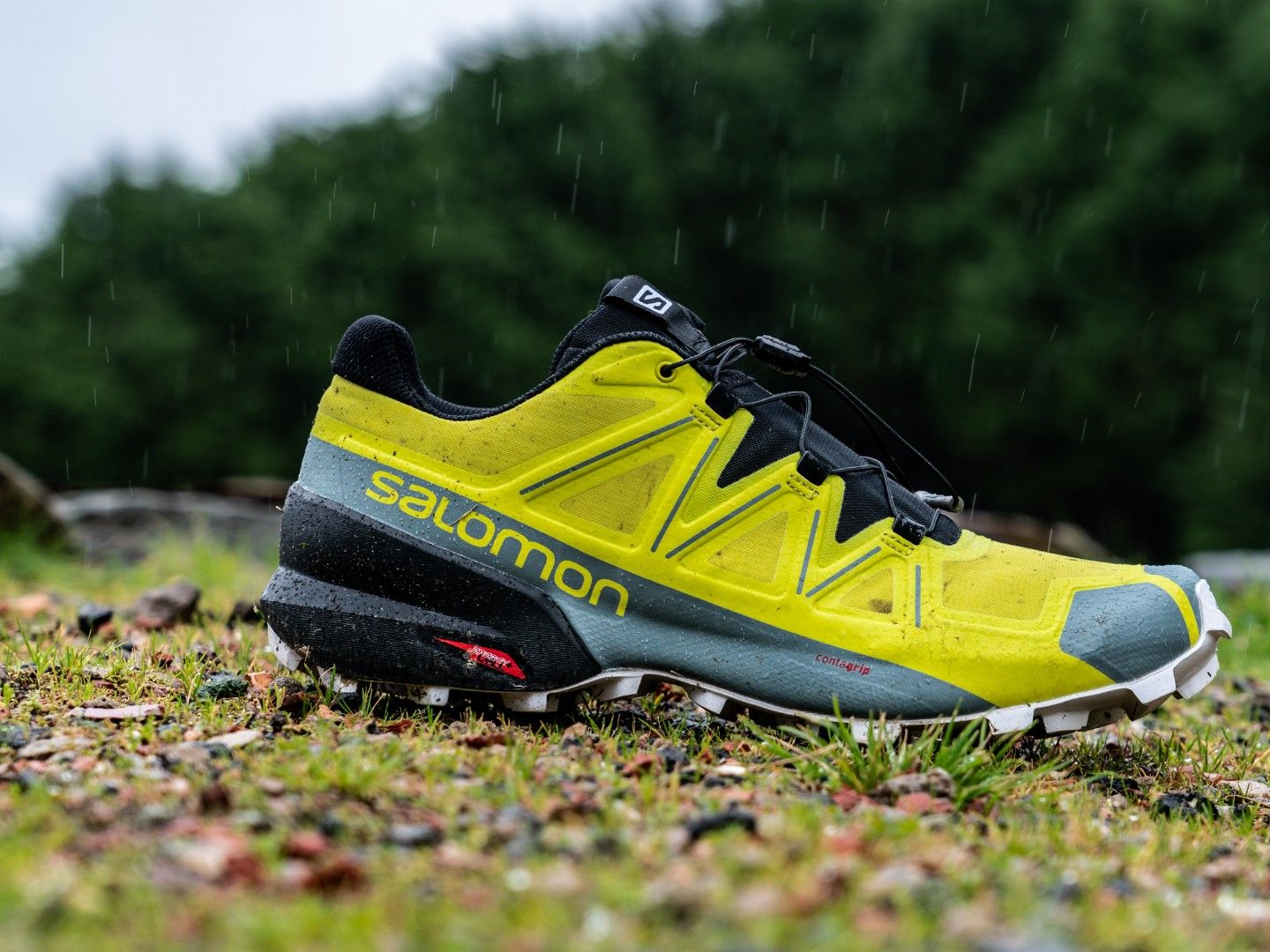靴 salomon speed cross 5 Amazon.com | Salomon Men's Speedcross 5 Trail Running Shoes