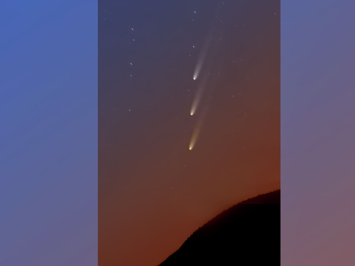 ＊ comet 様 ＊ ご相談ページです♪ BXJ26tGtwutuA3WSxwUT9G.jpg
