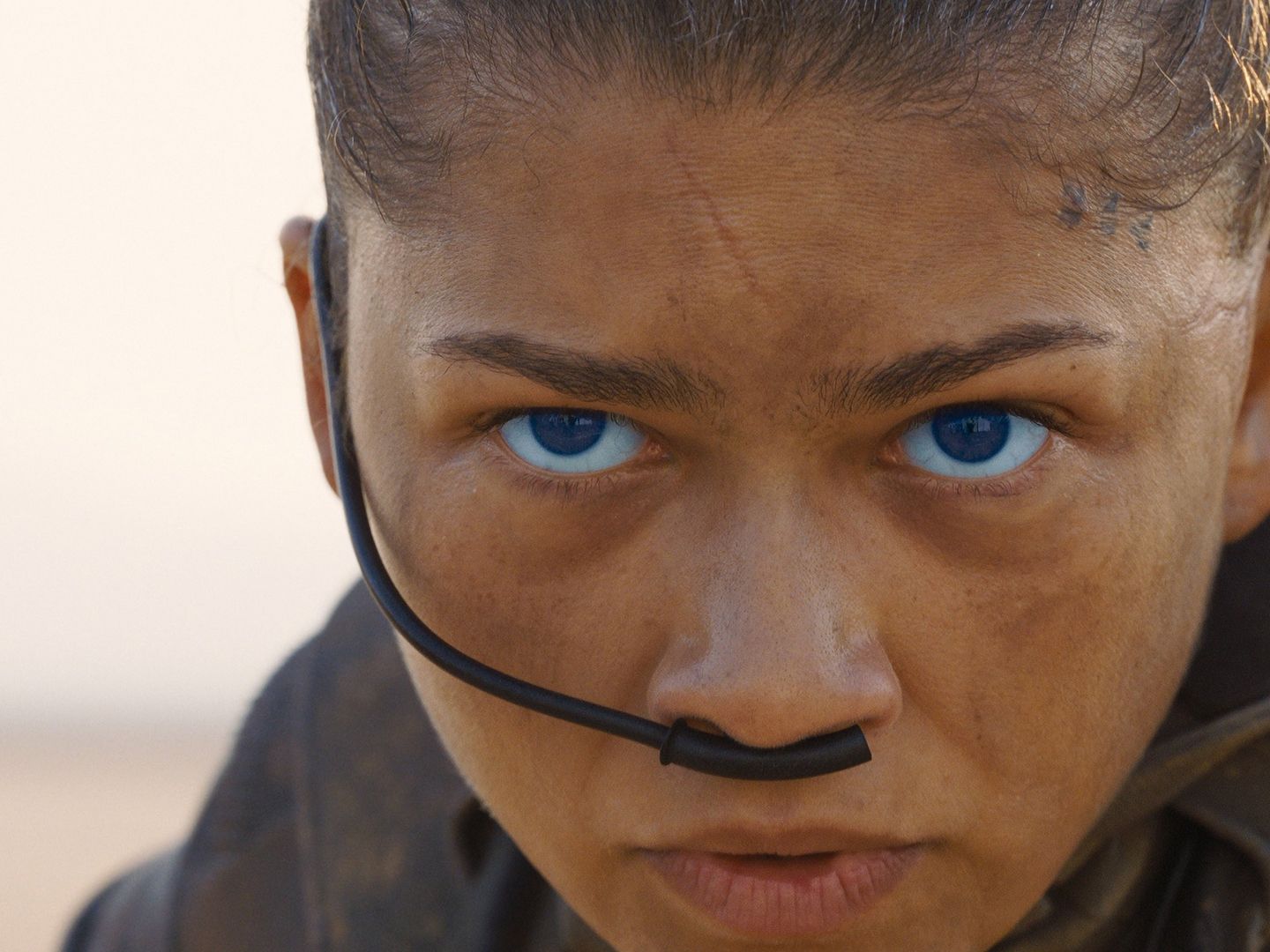 Dune: Part Three: Release date, plot, cast & everything we know