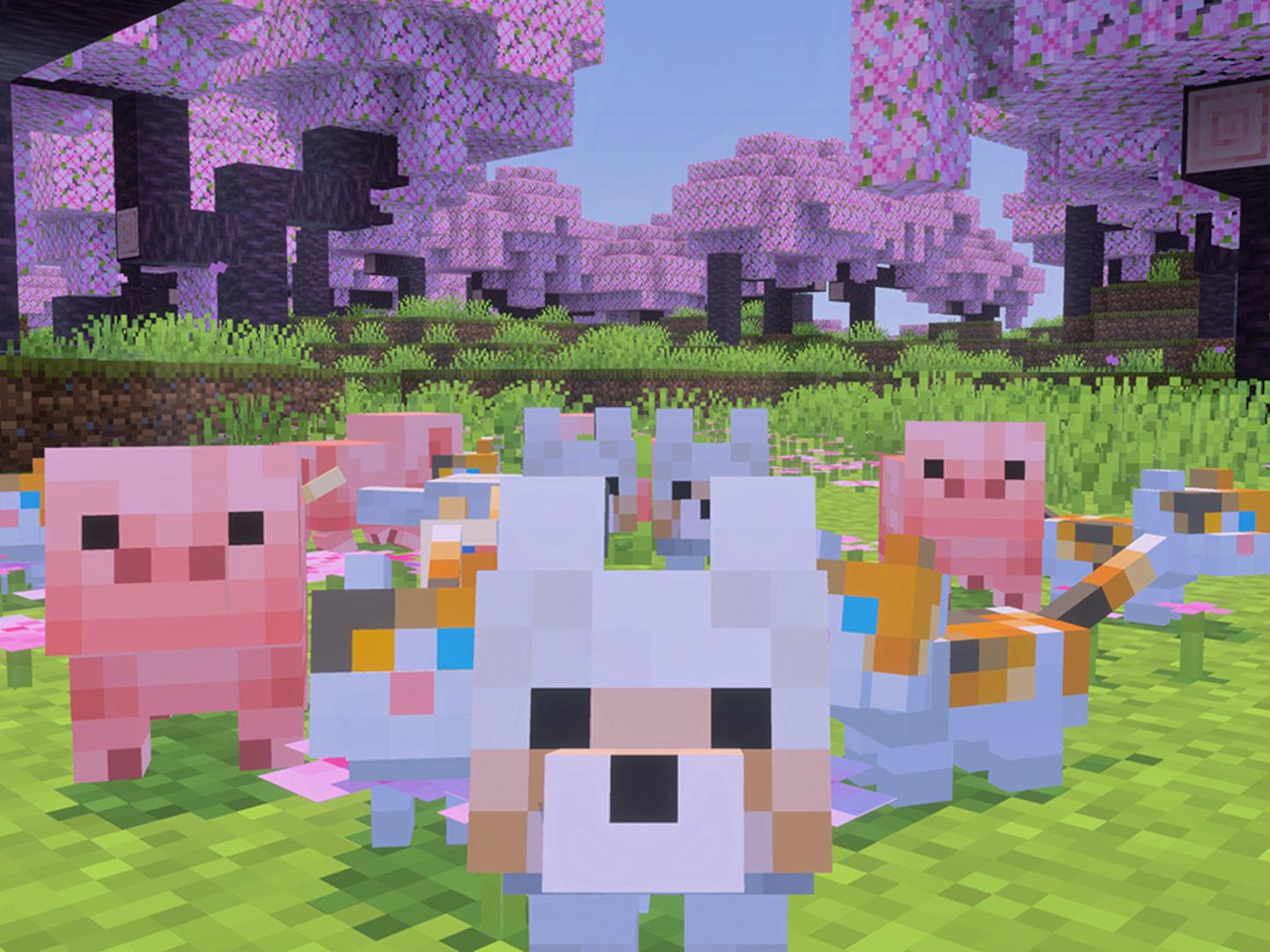 Java Jane Minecraft Jane A Assassina Minecraft