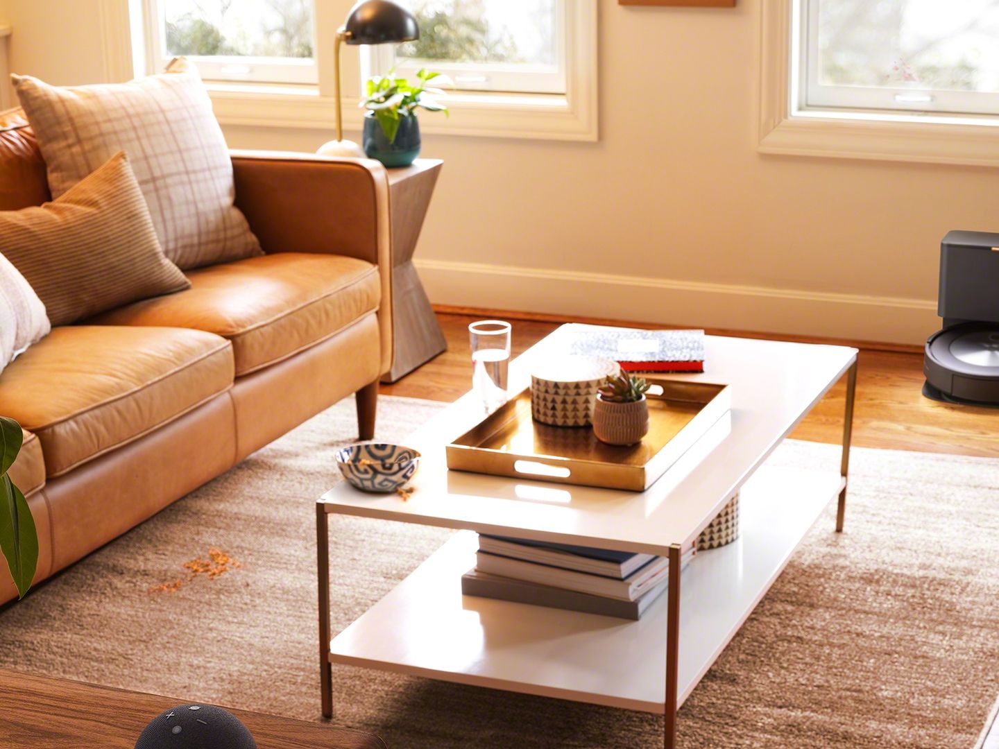 iRobot Roomba j7+ review: dog do dodging robot vacuum cleaner is