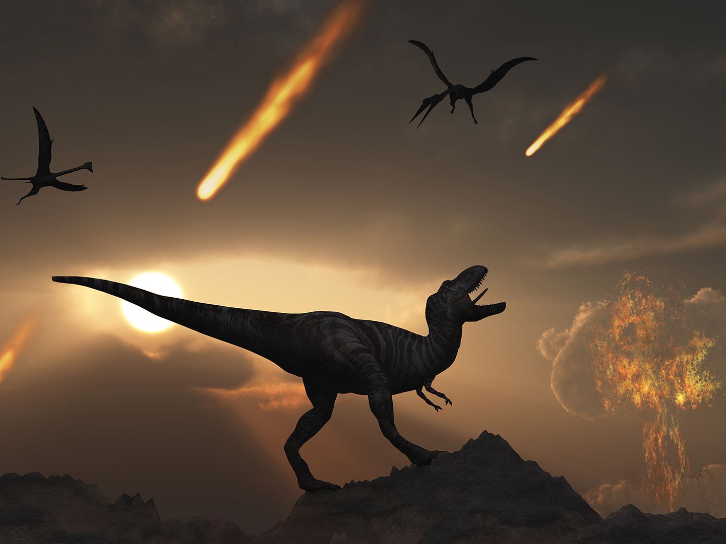 Darkness caused by dino-killing asteroid snuffed out life on Earth in 9  months | Live Science