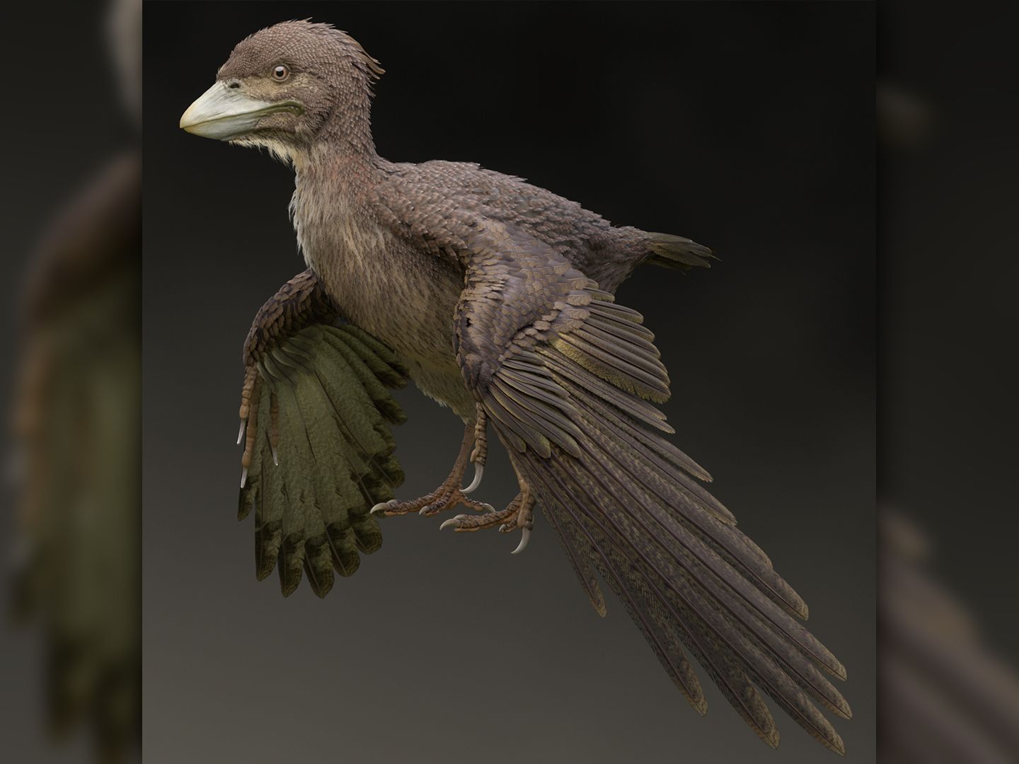 Newfound Pigeon-Size Cretaceous Bird Was Preserved in 3D | Live