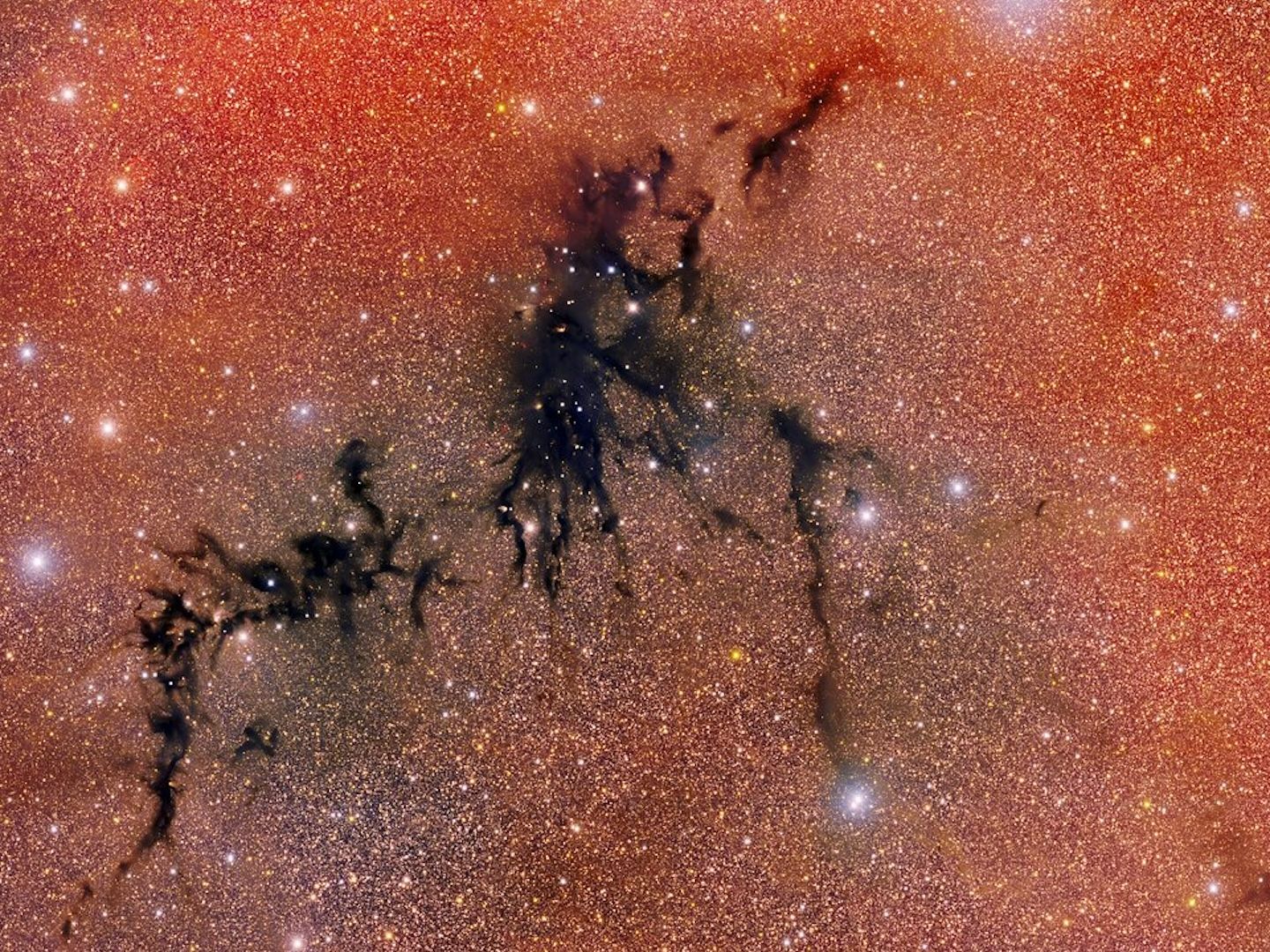 限定値下！！新品未開封☆NEBULA BRIGHT IMAGE SEAMLESS rosette-nebula-dark-energy-