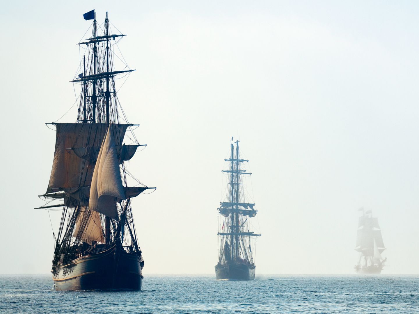 A Lot of What Is Known about Pirates Is Not True, and a Lot of What Is True  | National Endowment for the Humanities, image size:1440x1080