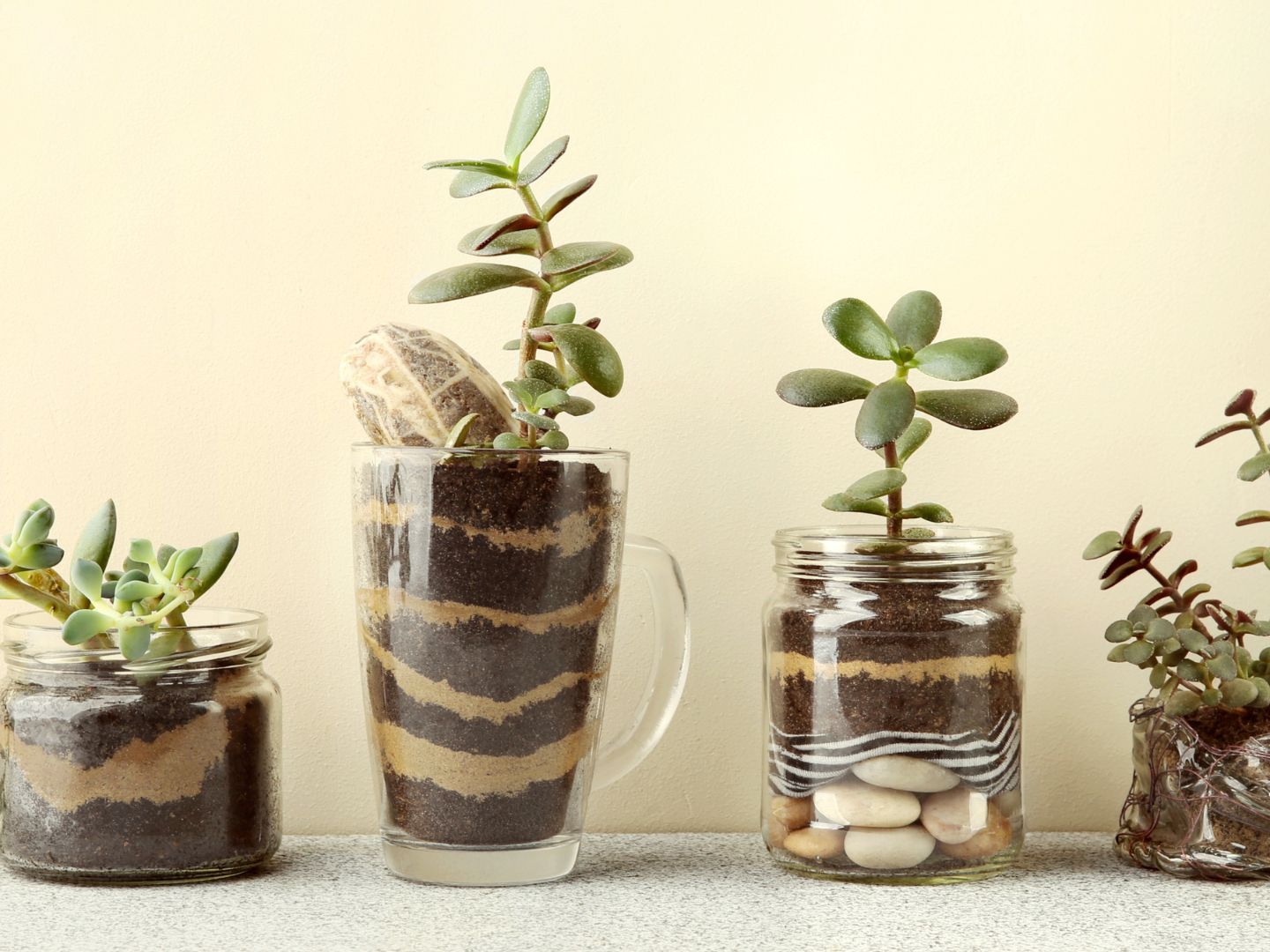 white indoor plant pot Mini 2-Inch Wood Indoor Plant Stand & Pot main image 0