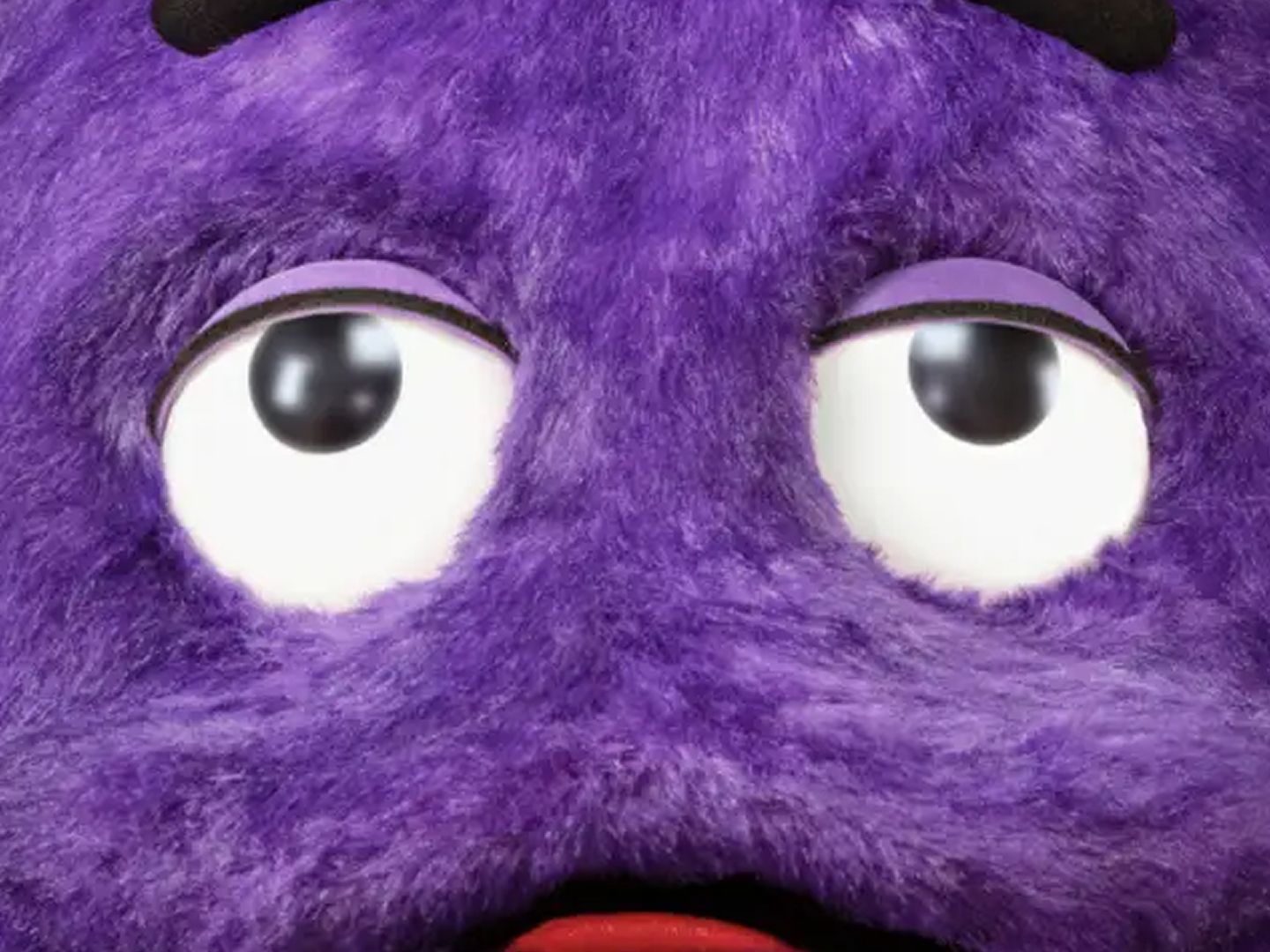 その他 studio24 complex fever grimace premium Grimace Federation / Ultra Prime / Live On Girard / 2.1.24