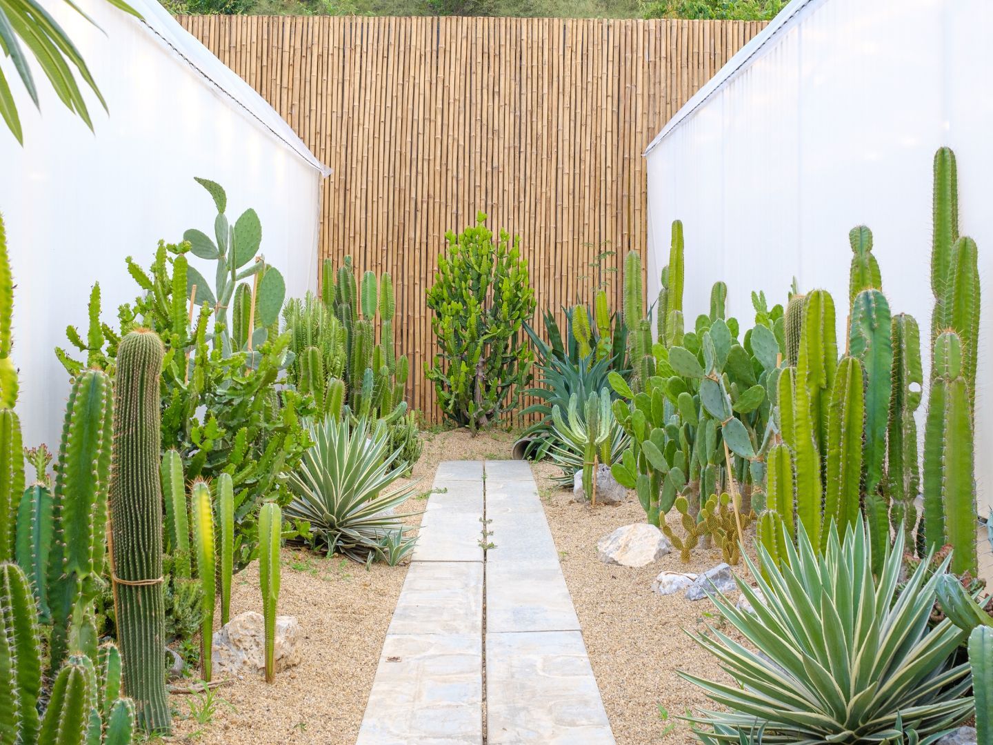 7 Succulent Garden Ideas That Will Elevate Your Outdoor Space | Livingetc