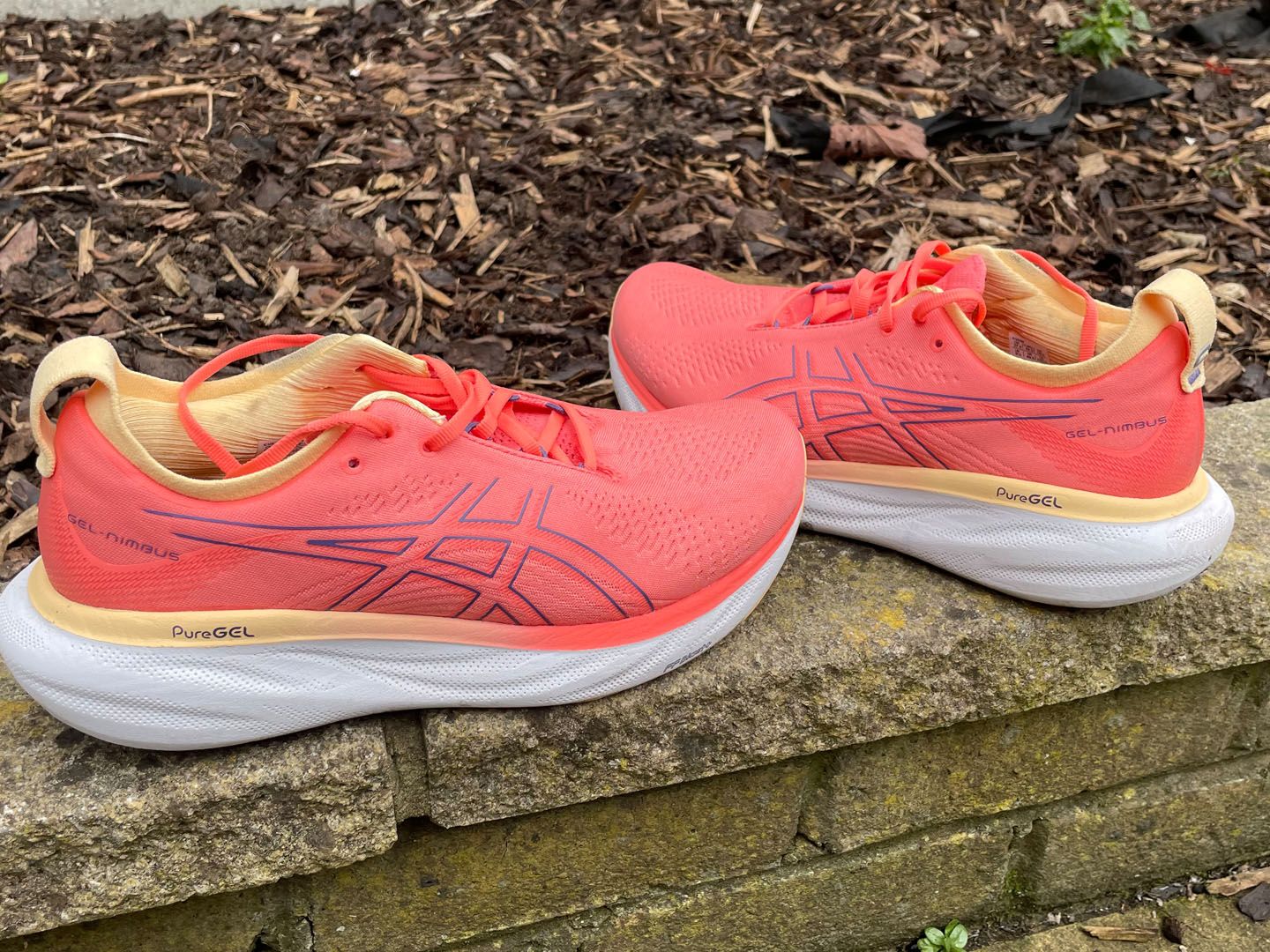 新品未使用アシックス  スポーツシューズGEL-NIMBUS 25 Women's Asics Gel Nimbus 25 | Marathon Sports