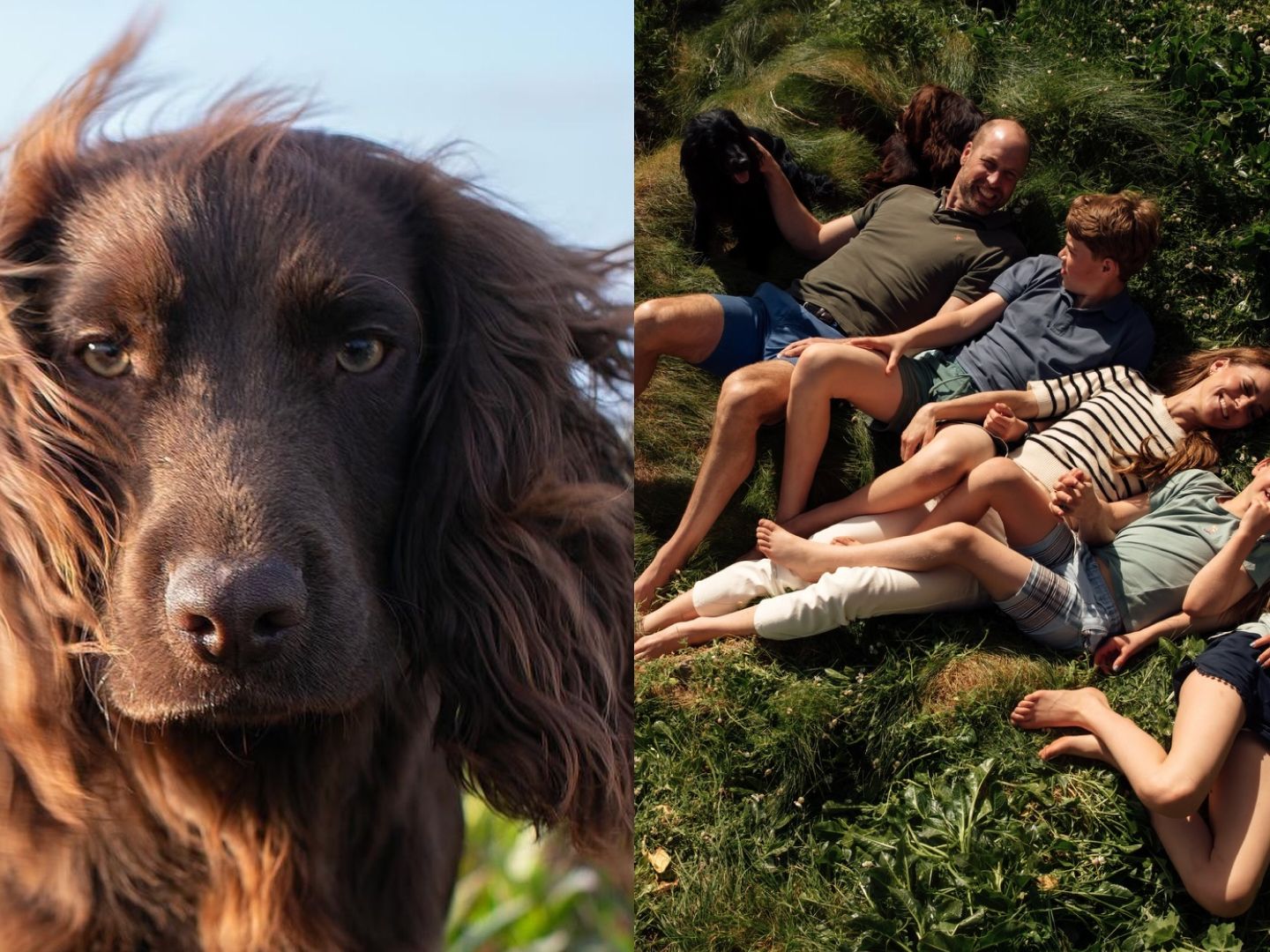 Prince William and Princess Kate Reveal New Dog's Name | Marie Claire