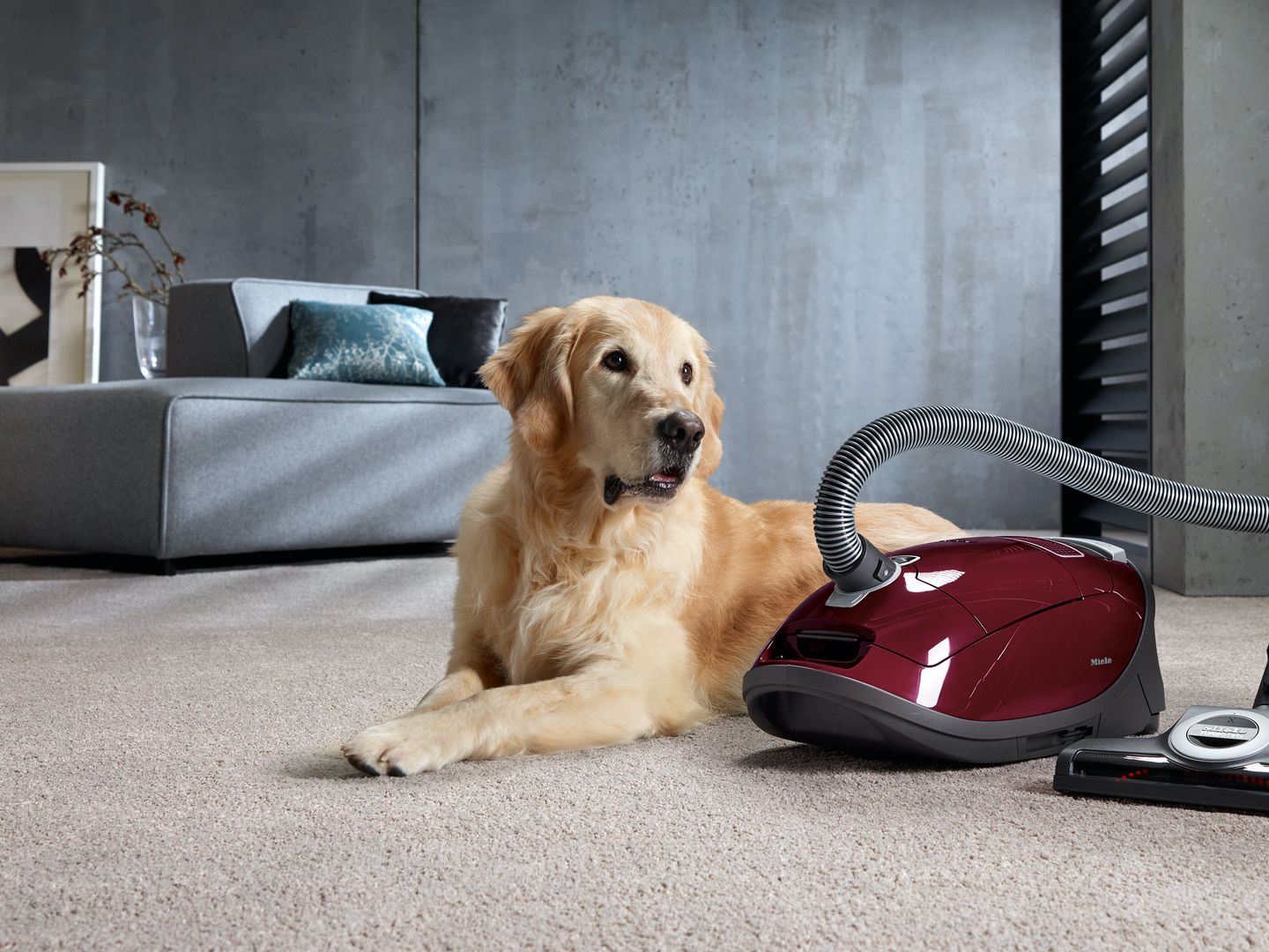 Vhbw Staubsaugerfilter Passend Für Miele Complete C3 Cat And Dog Powerline C3 Powerline Staubsauge Vhbw