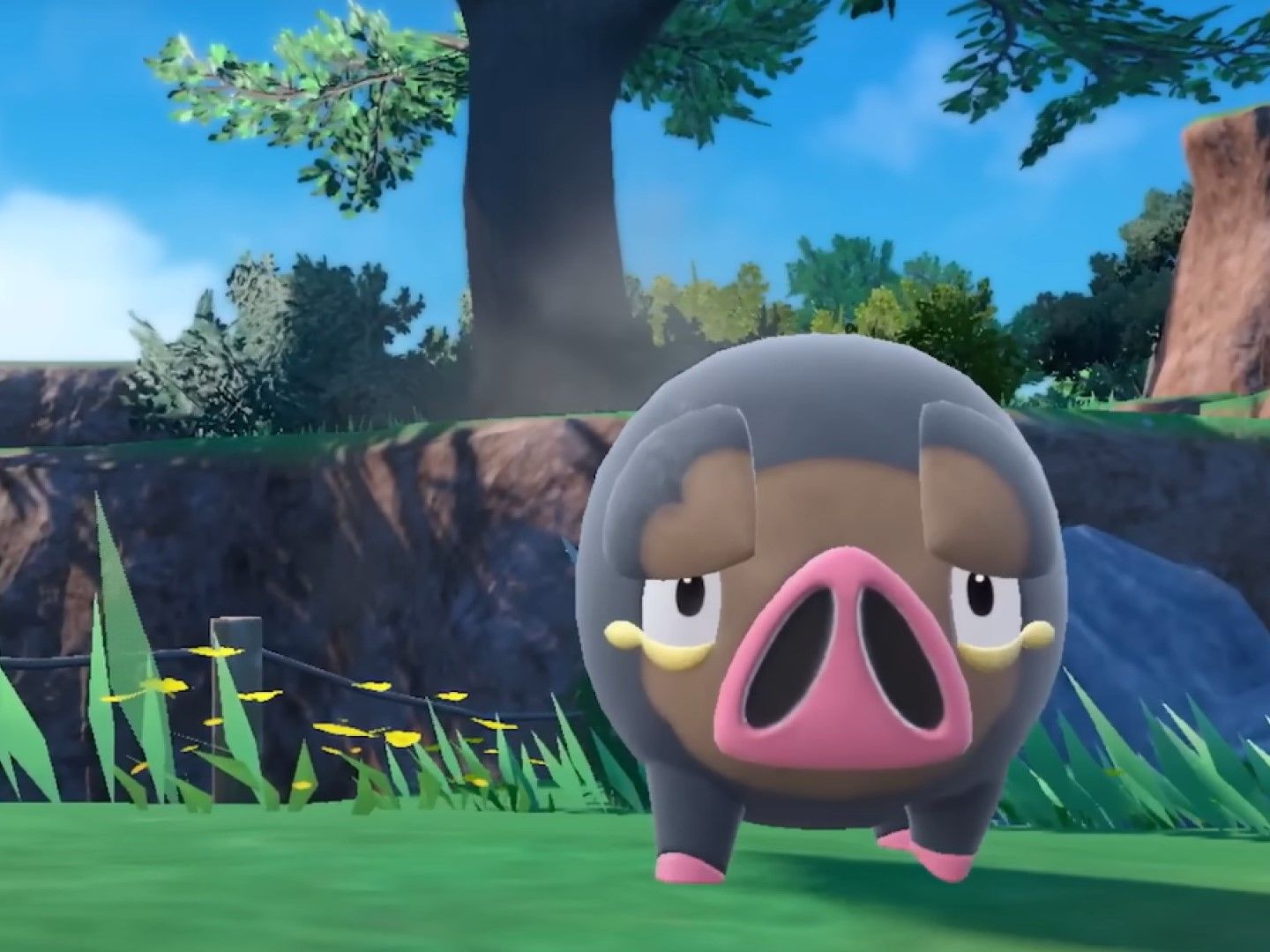 Pokemon Pokemon Inicial