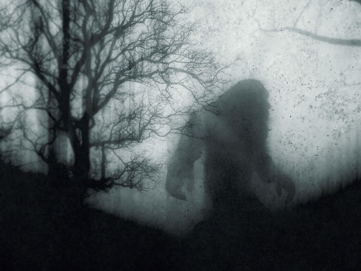 Is Bigfoot real? Everything you need to know about the Sasquatch | Live Science