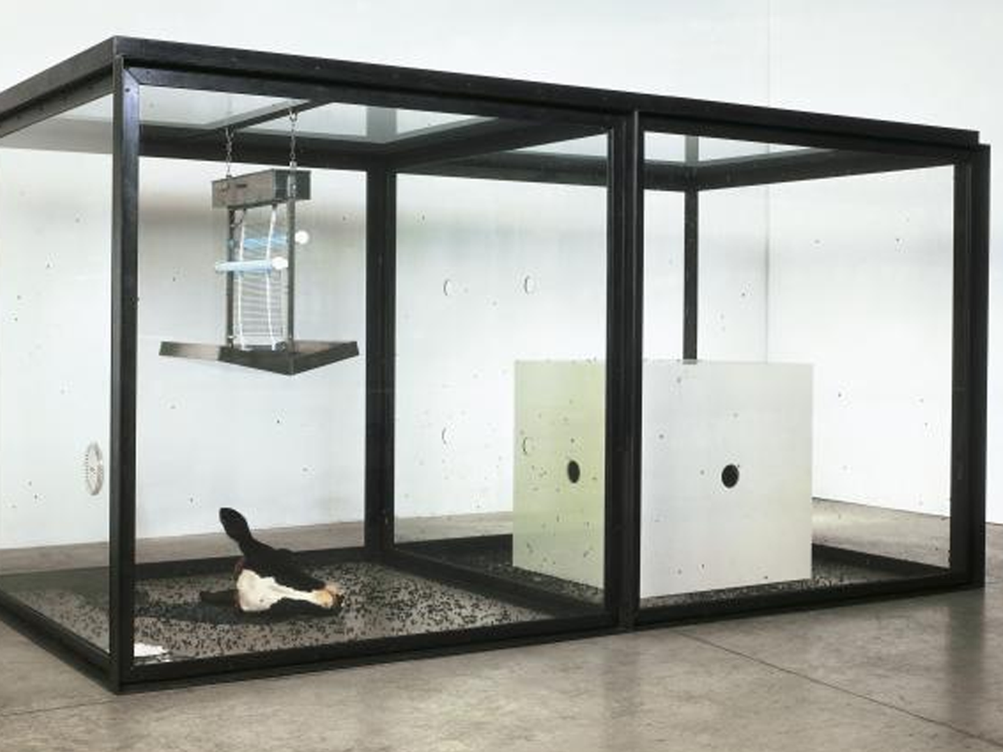 Surprise, surprise, Damien Hirst has upset someone else | Creative