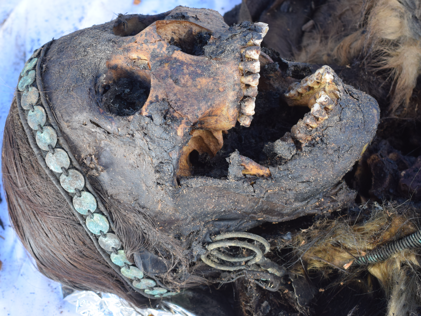 One of the last Siberian shamans was an 18th-century woman whose