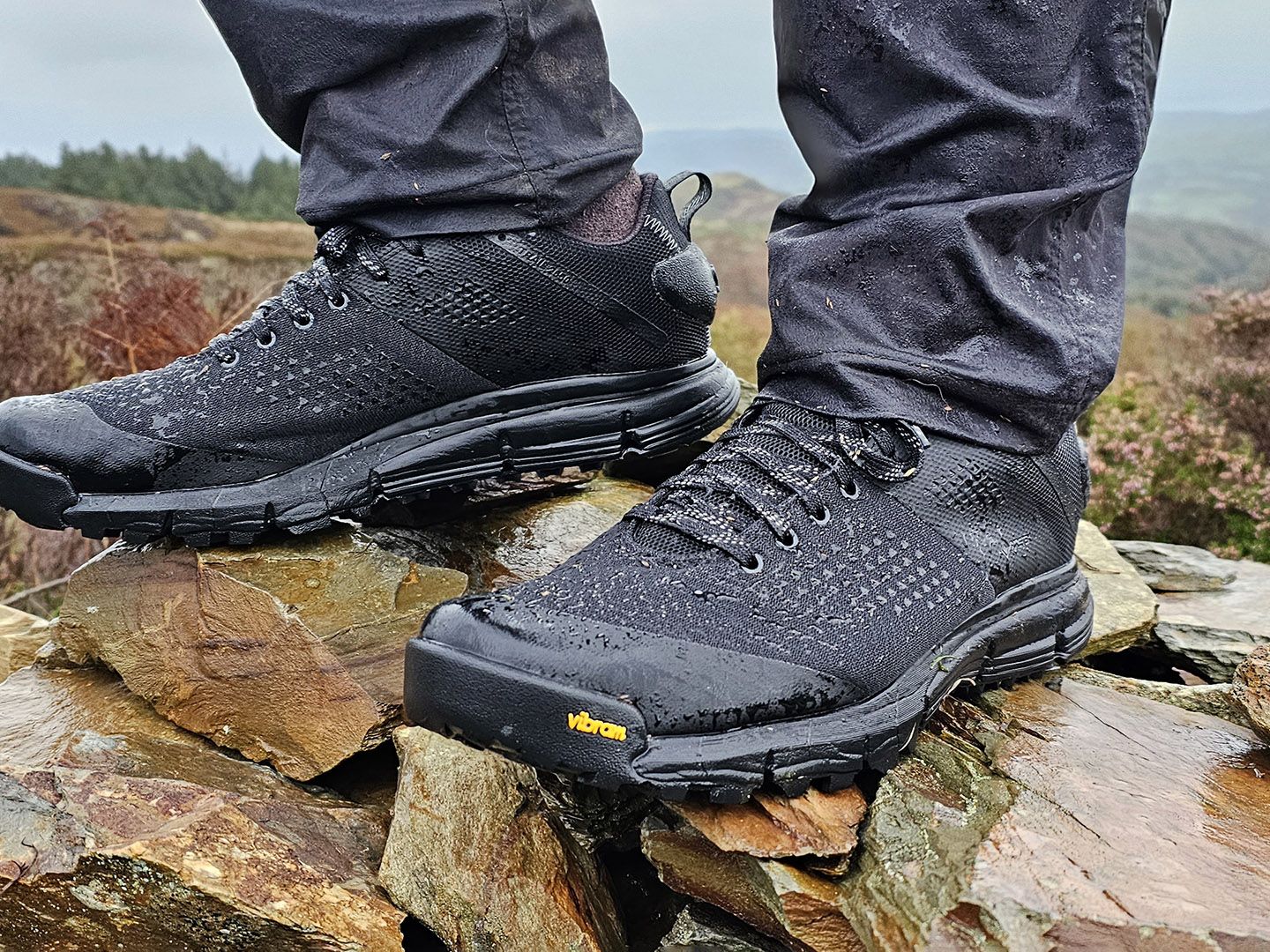 Danner - Trail 2650 Mesh Painted Hills