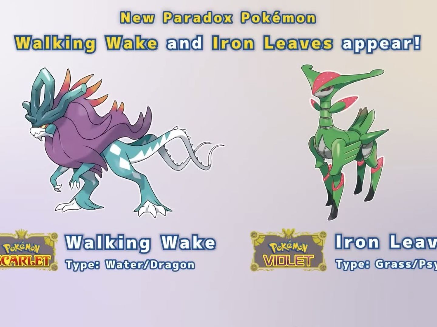 Woede Strip Pokemon News And Updates From The February 2025 Pokémon
