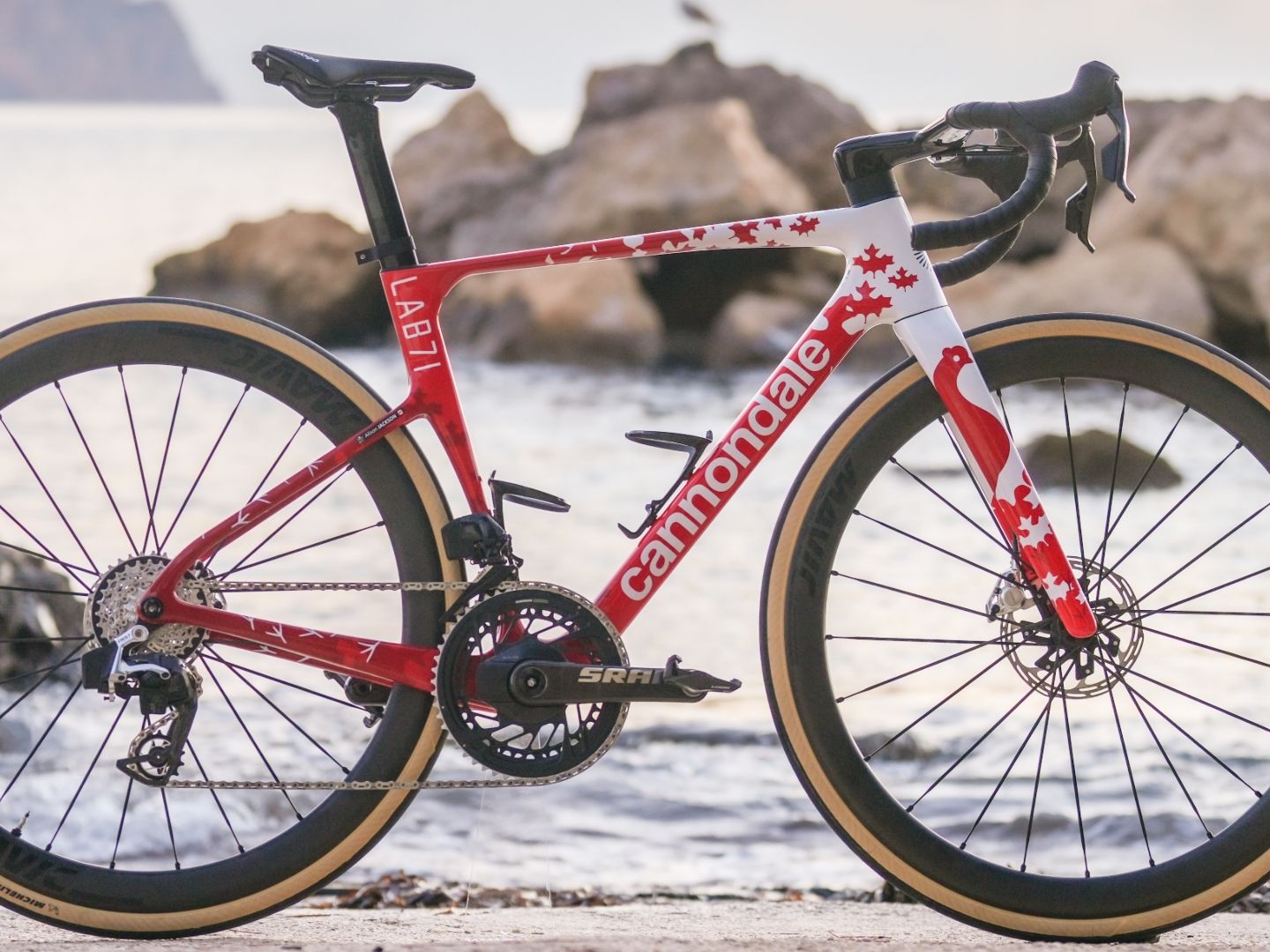 Don't think, just dance' - meet Alison Jackson's Cannondale