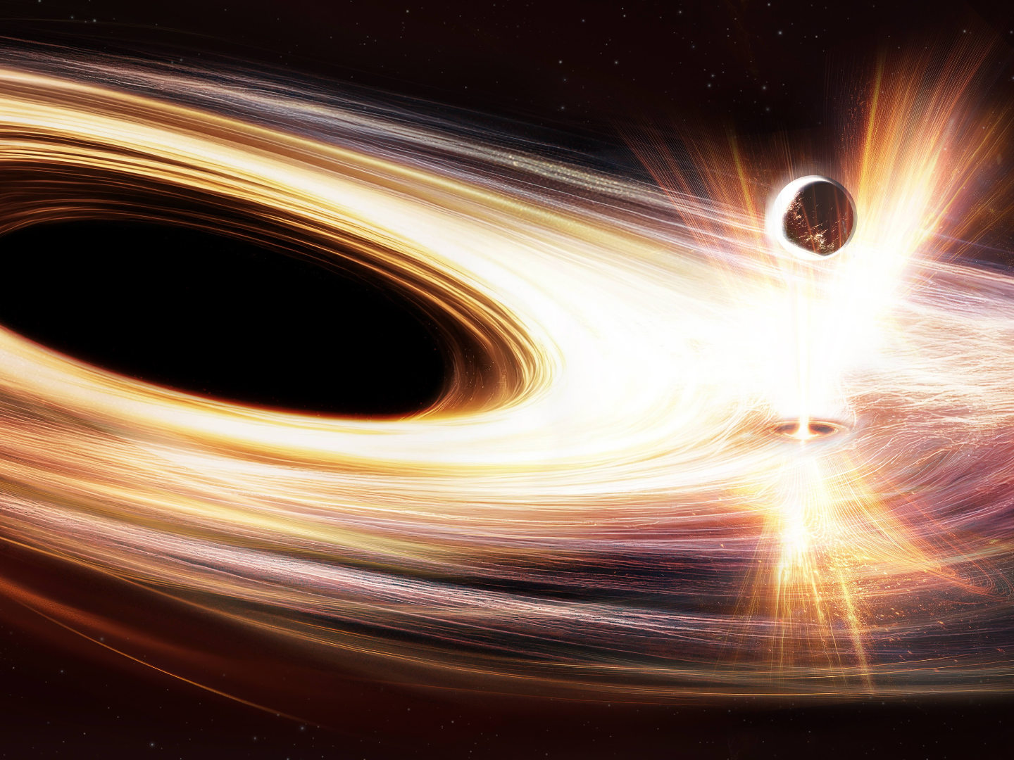 95年 WA産 BLACK HOLE OF WATTS 95年 WA産 BLACK HOLE OF WATTS 95年 WA産 BLACK HOLE OF WATTS
