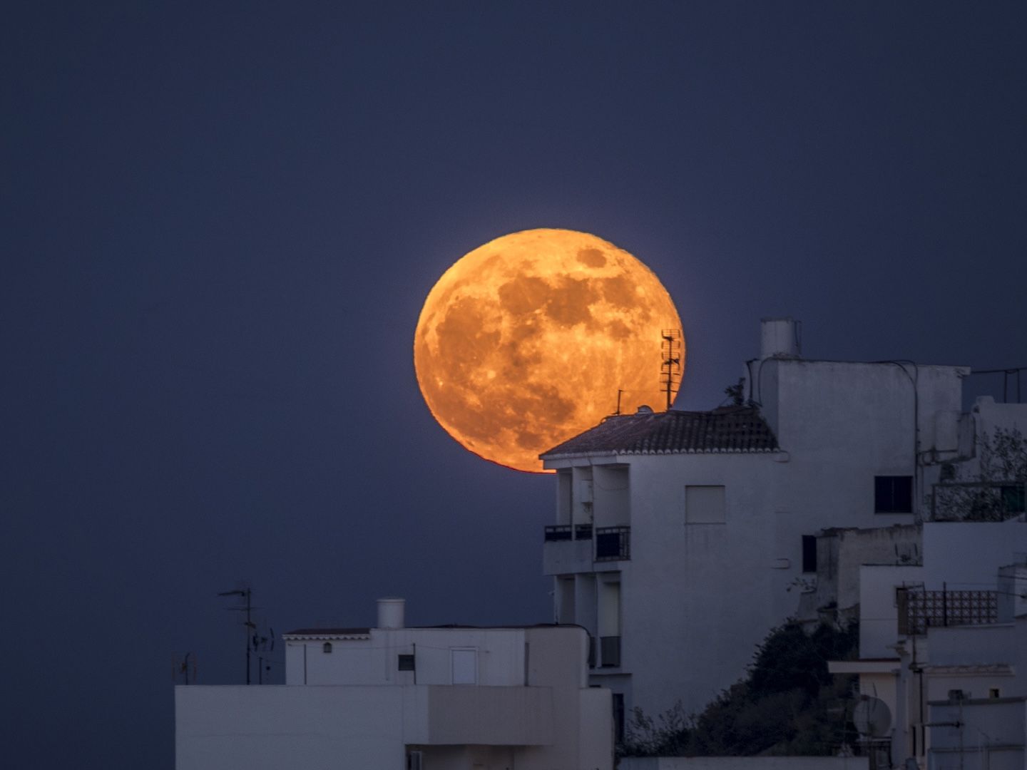 Sonakshi ke sexy video