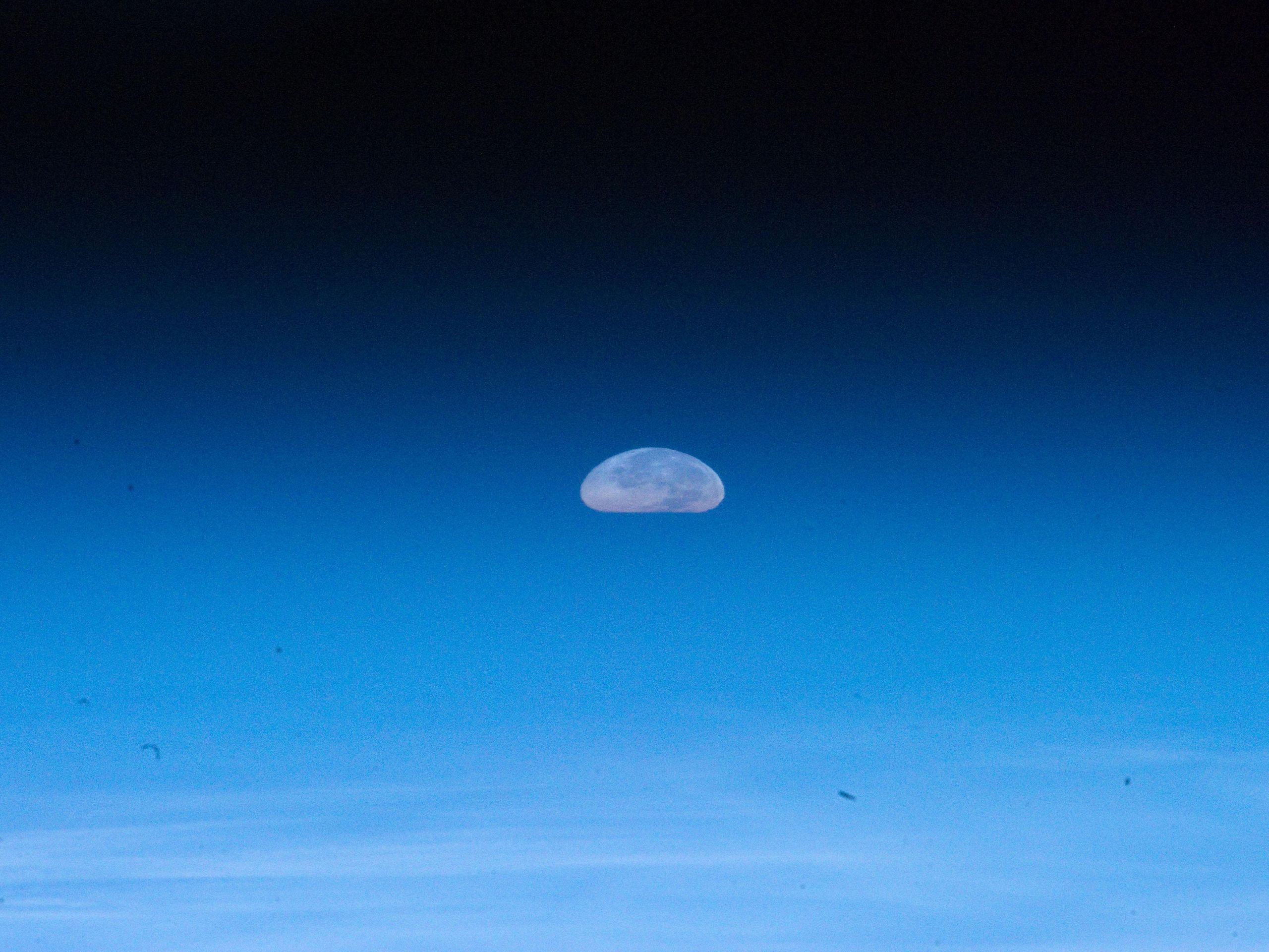 Blue Moon✨️ kebNXJMz2ZixmeC8TodDu5.jpg