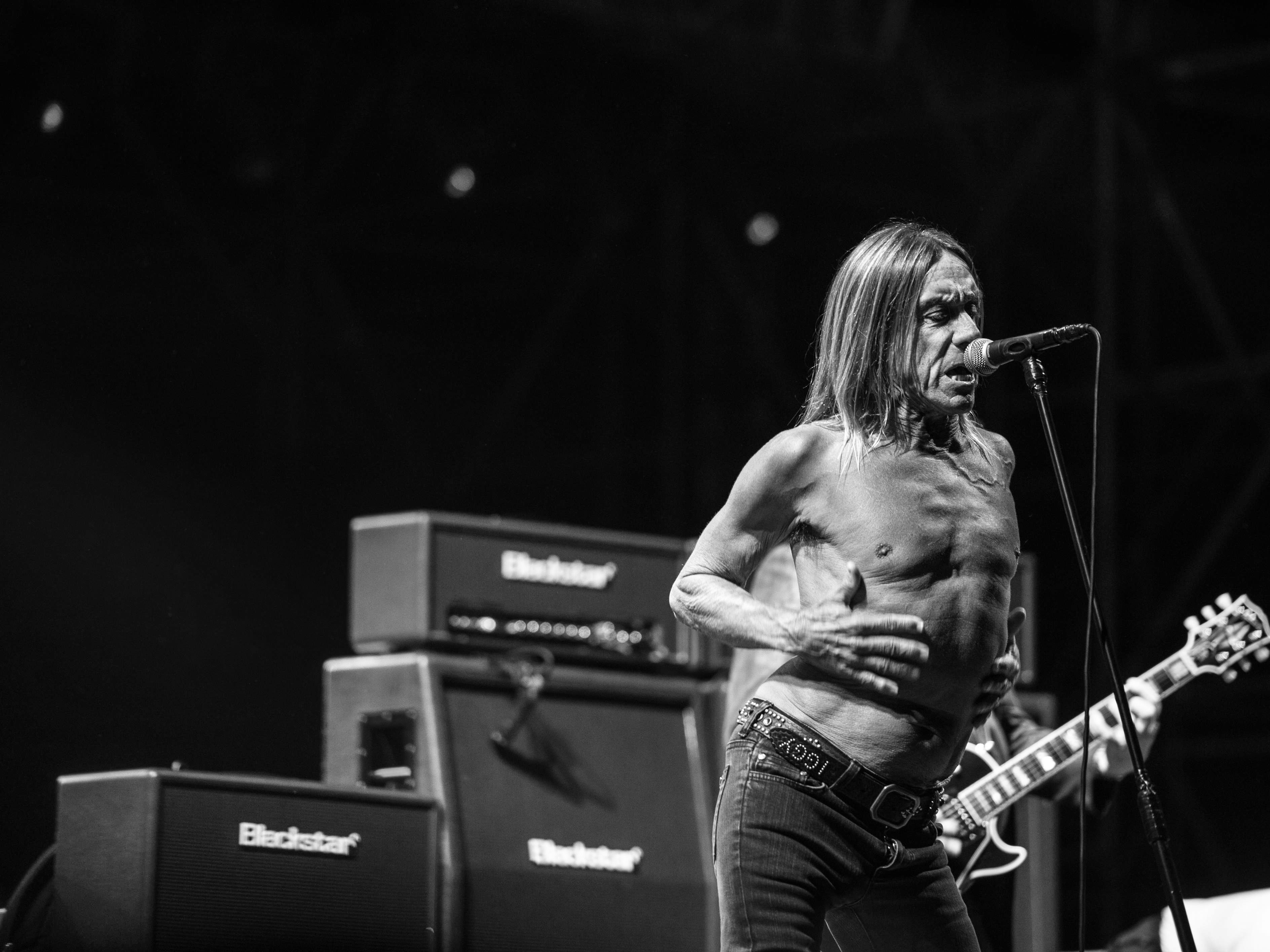 Iggy omc And The Stooges