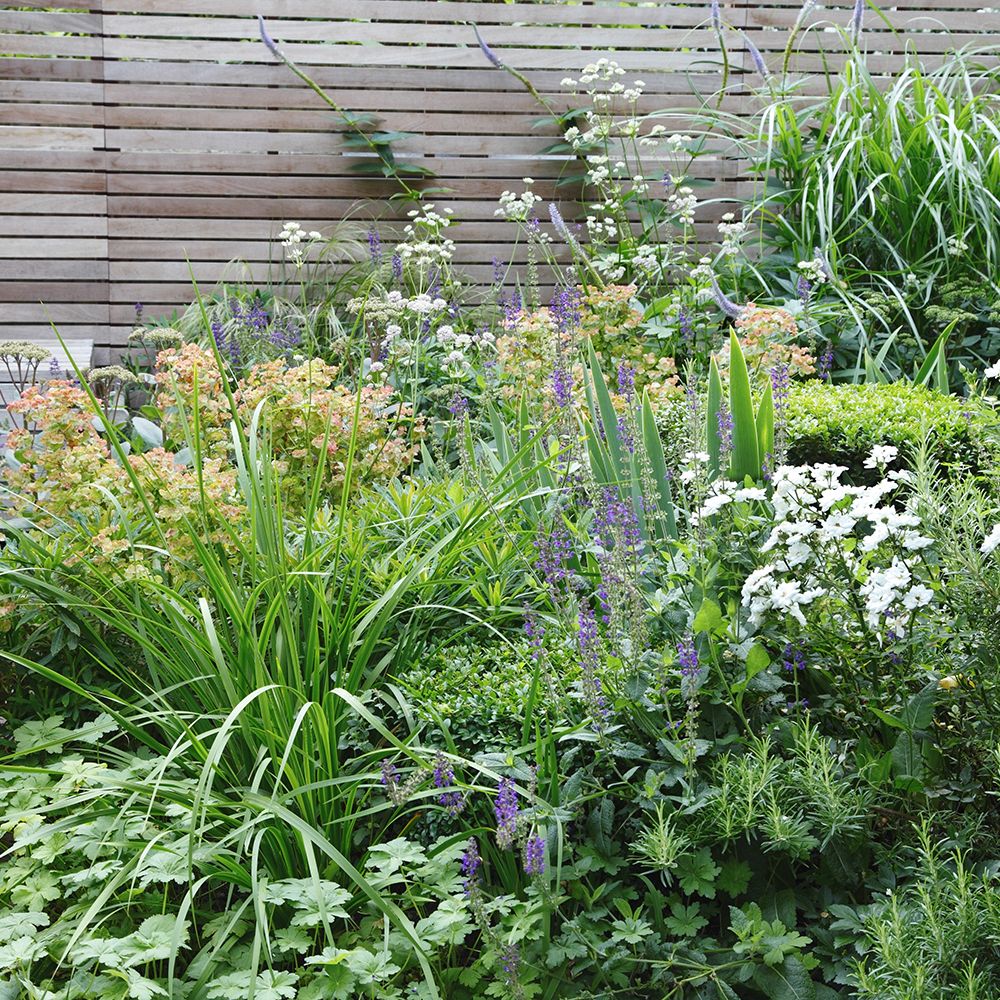 Plants How To Choose The Right Ones For Your Garden English Garden
