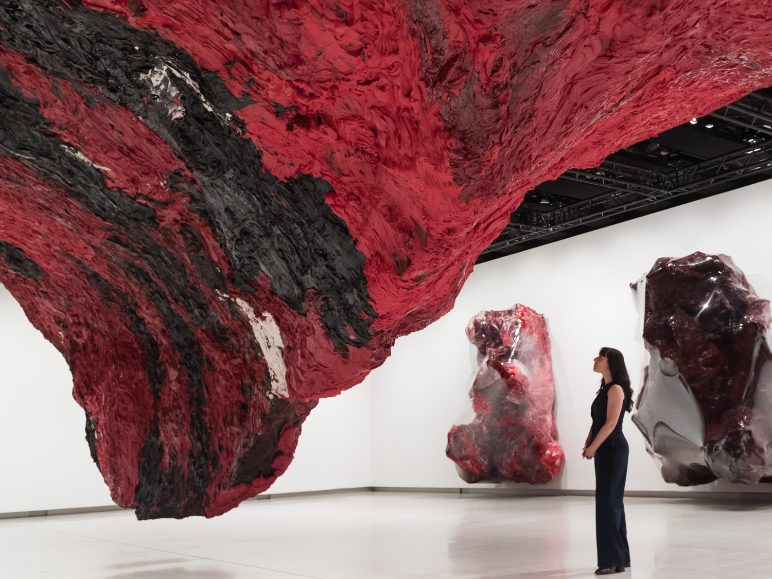 Anish Kapoor: 'zinging' exhibition is a 'divine bloodbath' | The Week