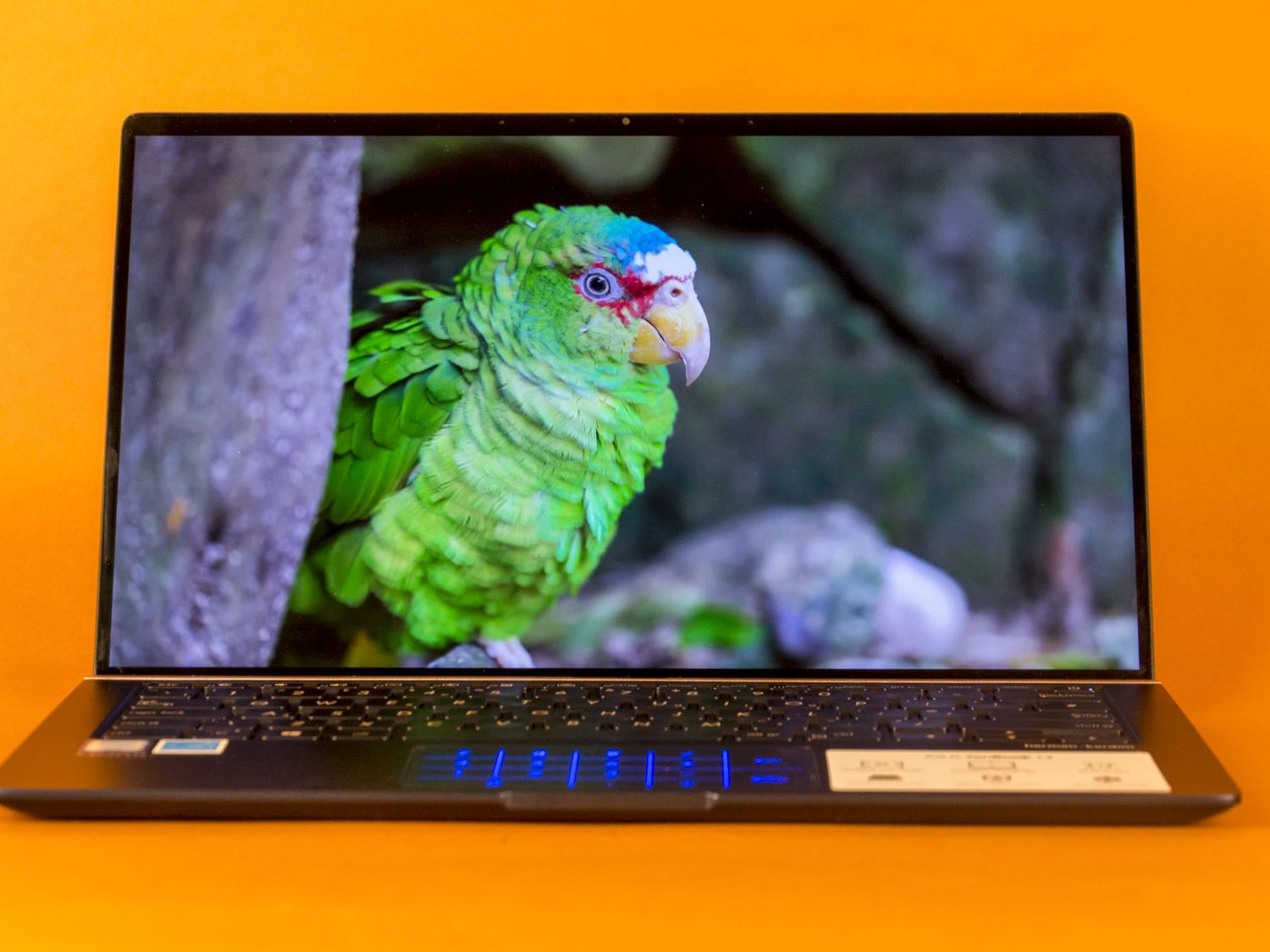 Asus ZenBook 14 UX433FA review: Small on size, not on value | IT Pro