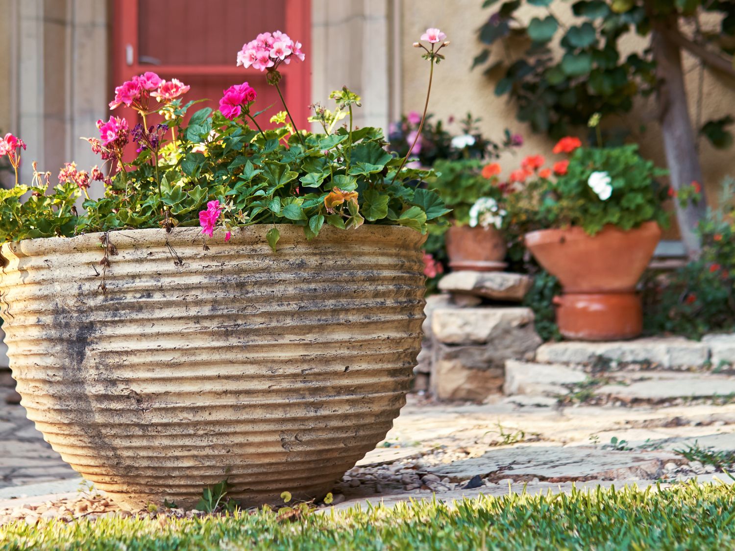 5 Cheap Materials to Fill Large Planters & 1 to Never Use | Gardening Know  How
