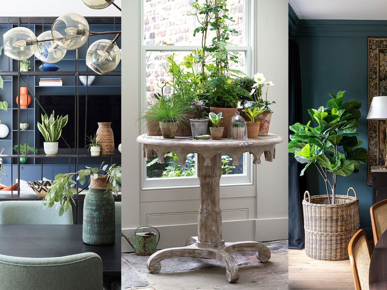 Decorating with plants: 11 ways to display house plants | Homes and Gardens