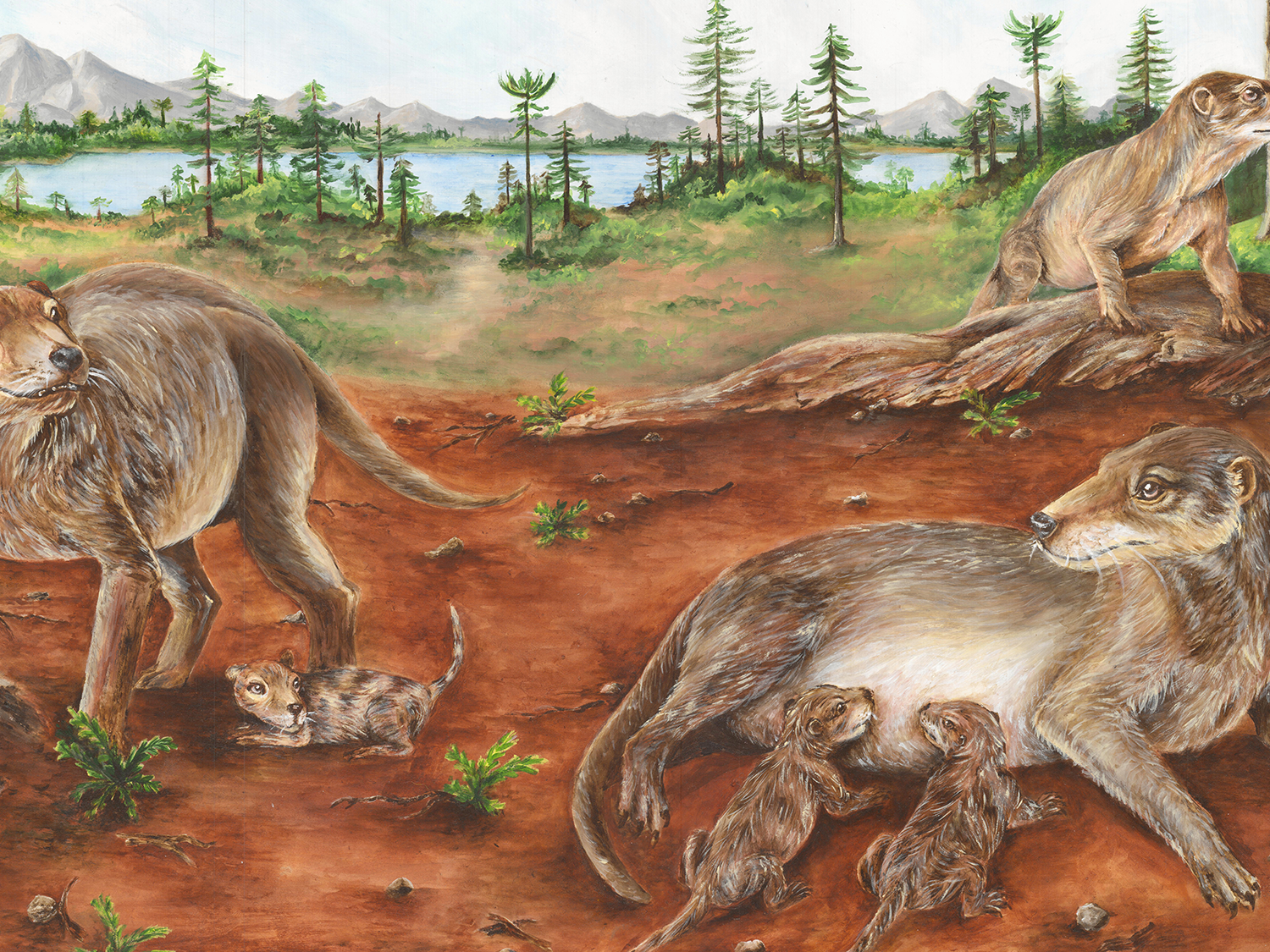 NATURE LIVING＆FACT『This day,this means』 Mammal ancestors may have given live birth 90 million years