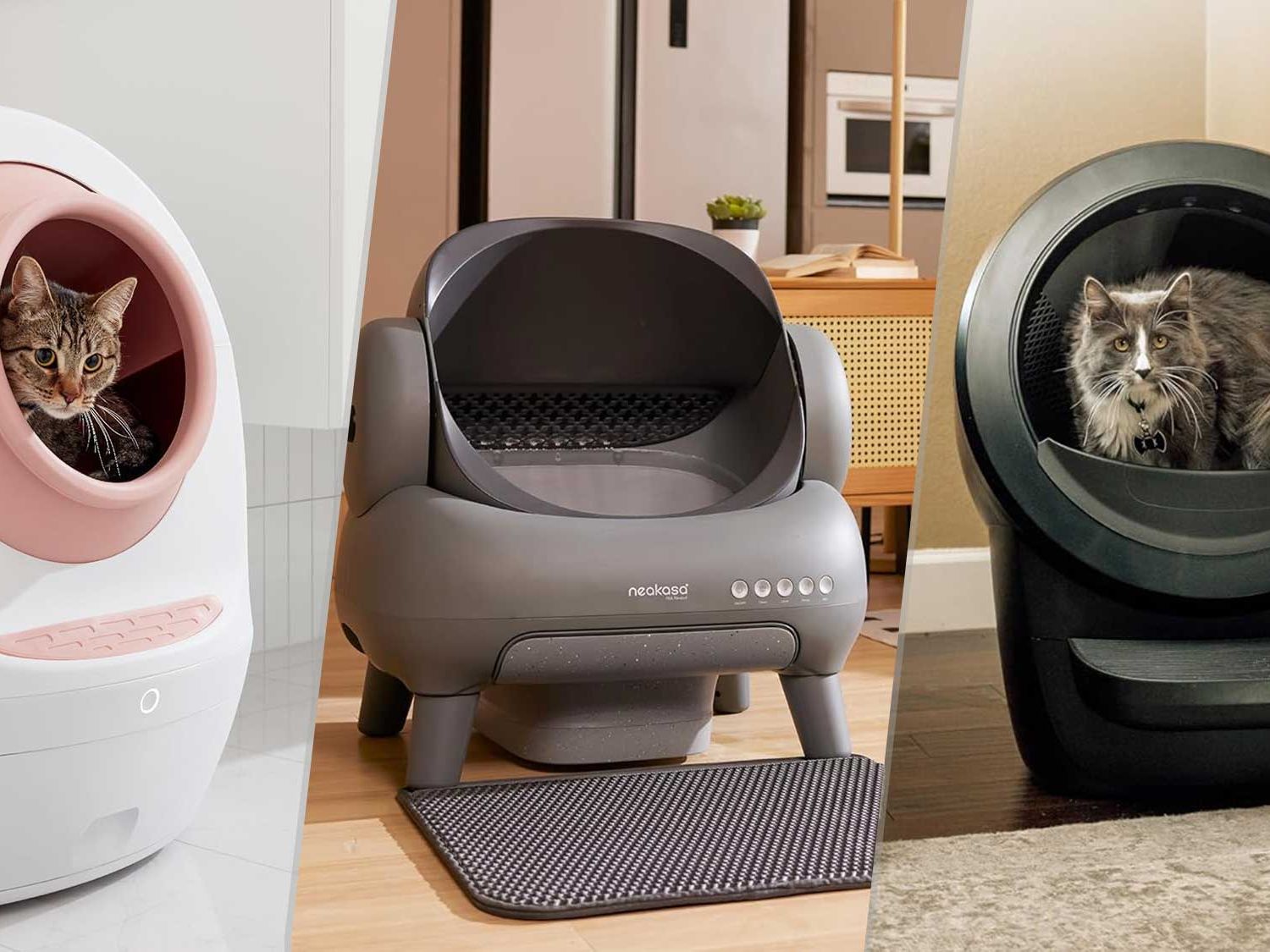 best auto cat litter box