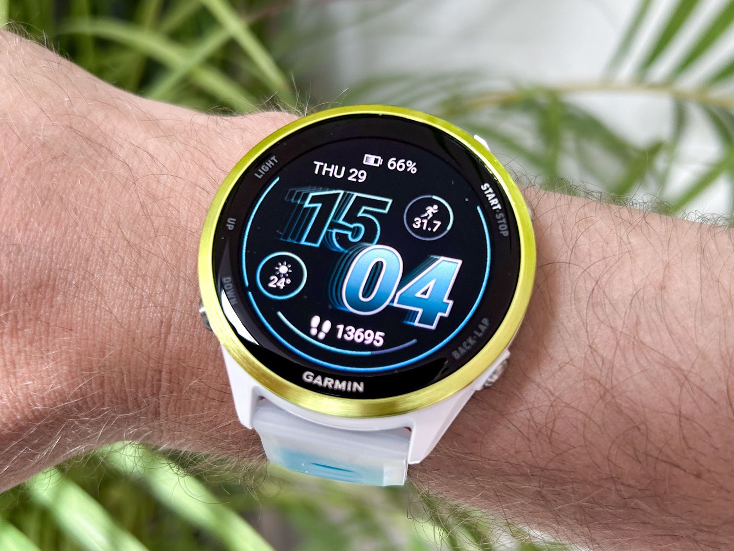 Garmin Fenix Least Expensive Garmin Watch Best Garmin Watches We